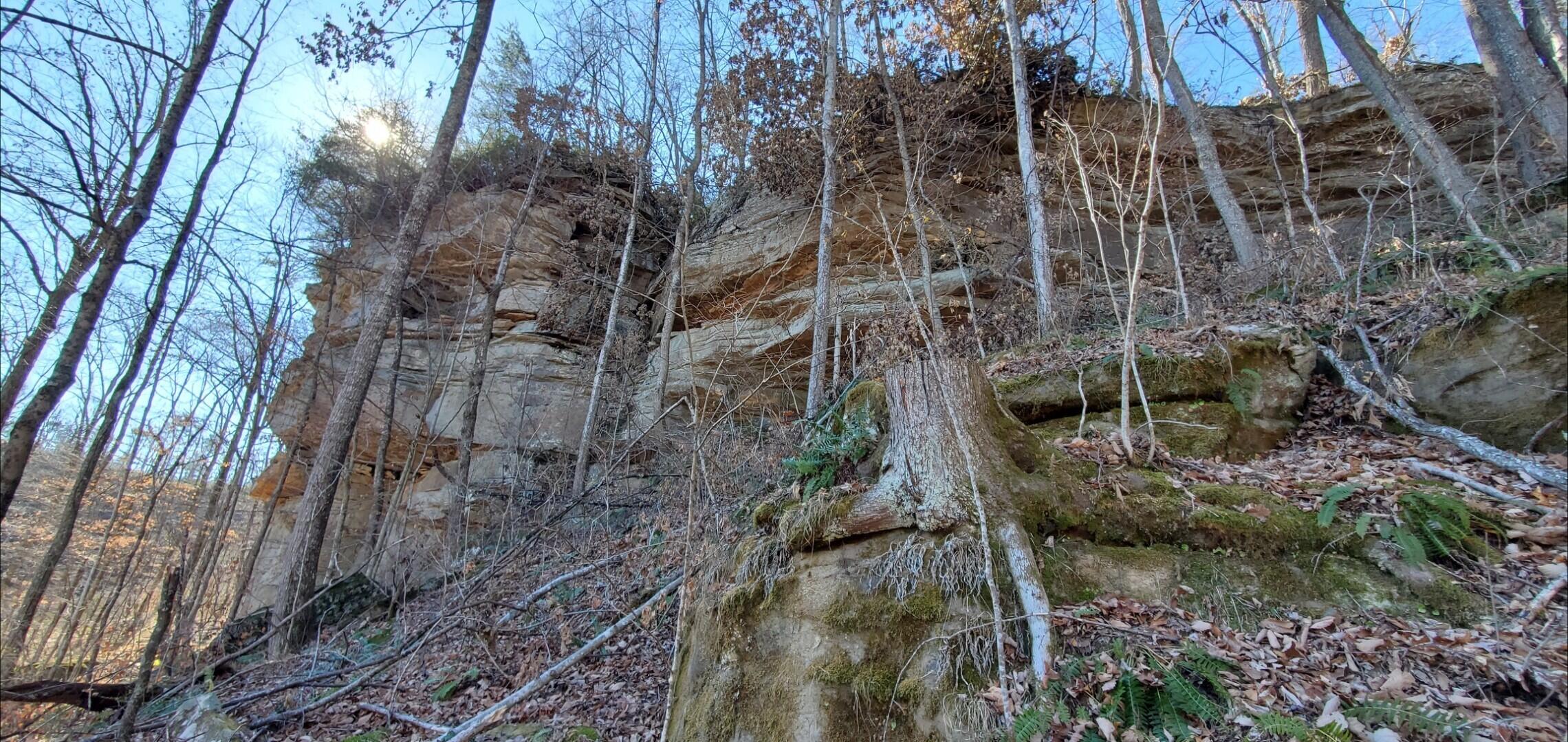 721 Tract 10 Skull Bone Tower Road