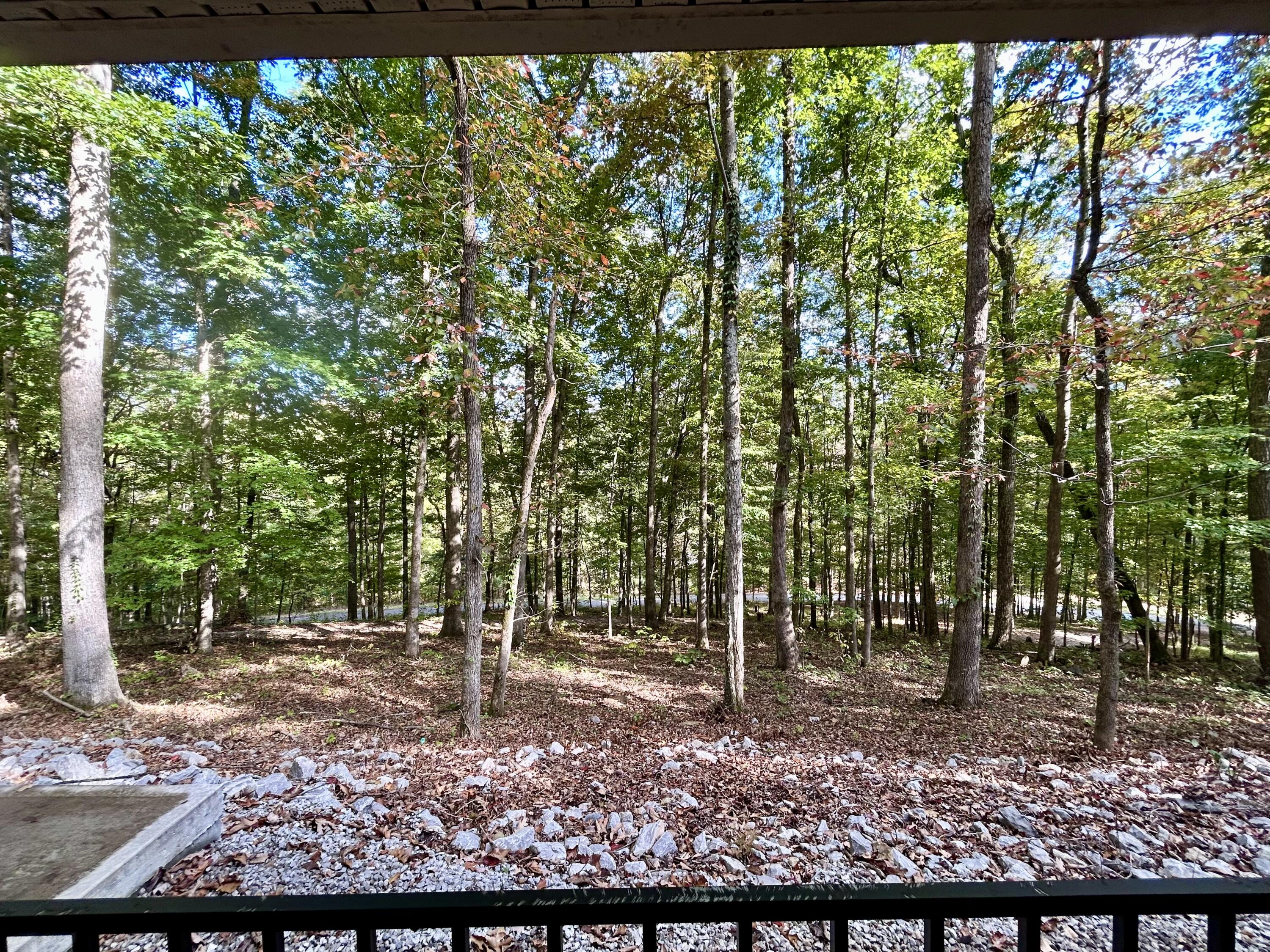 938 Haynes Knob Road