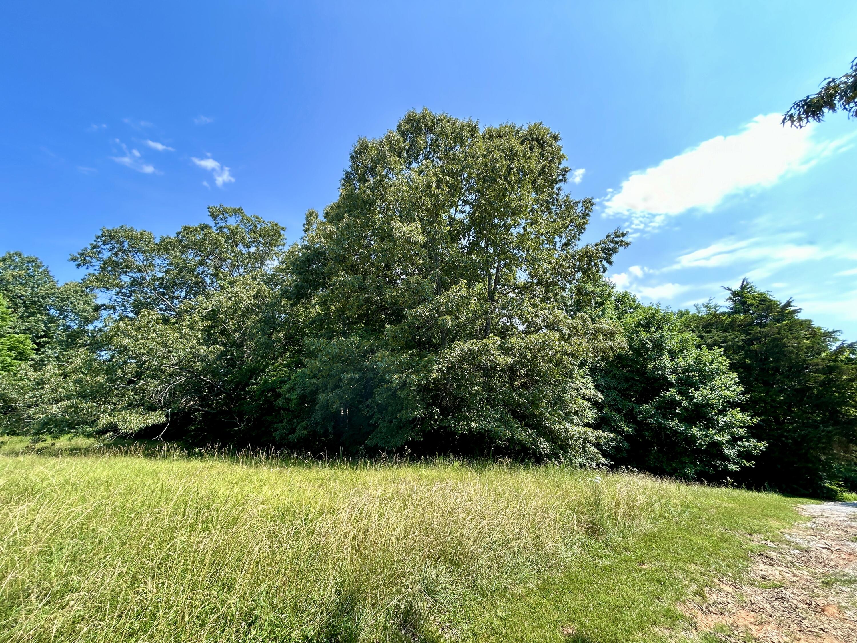 Lot 24A Beechwood Drive