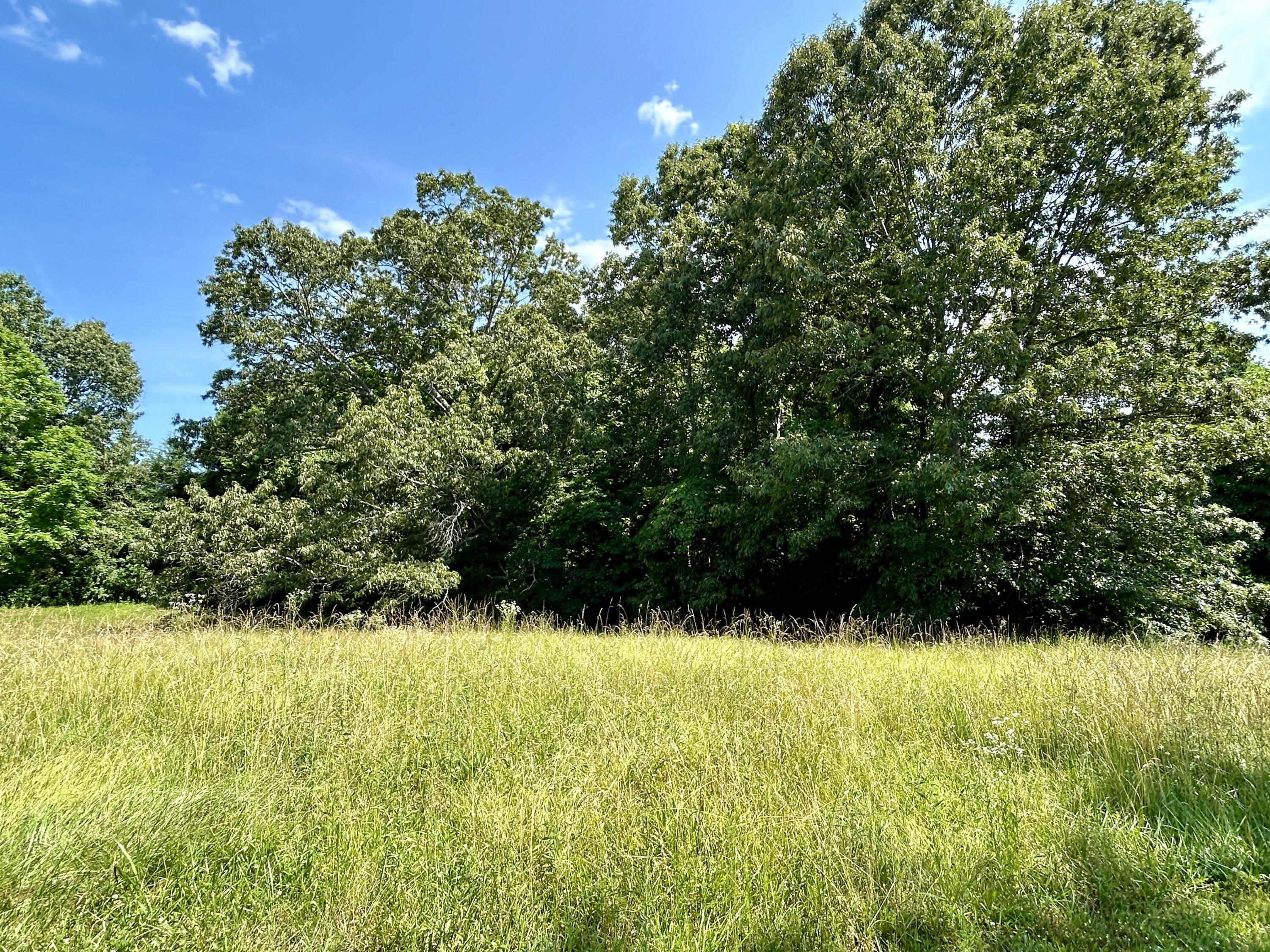 Lot 24A Beechwood Drive