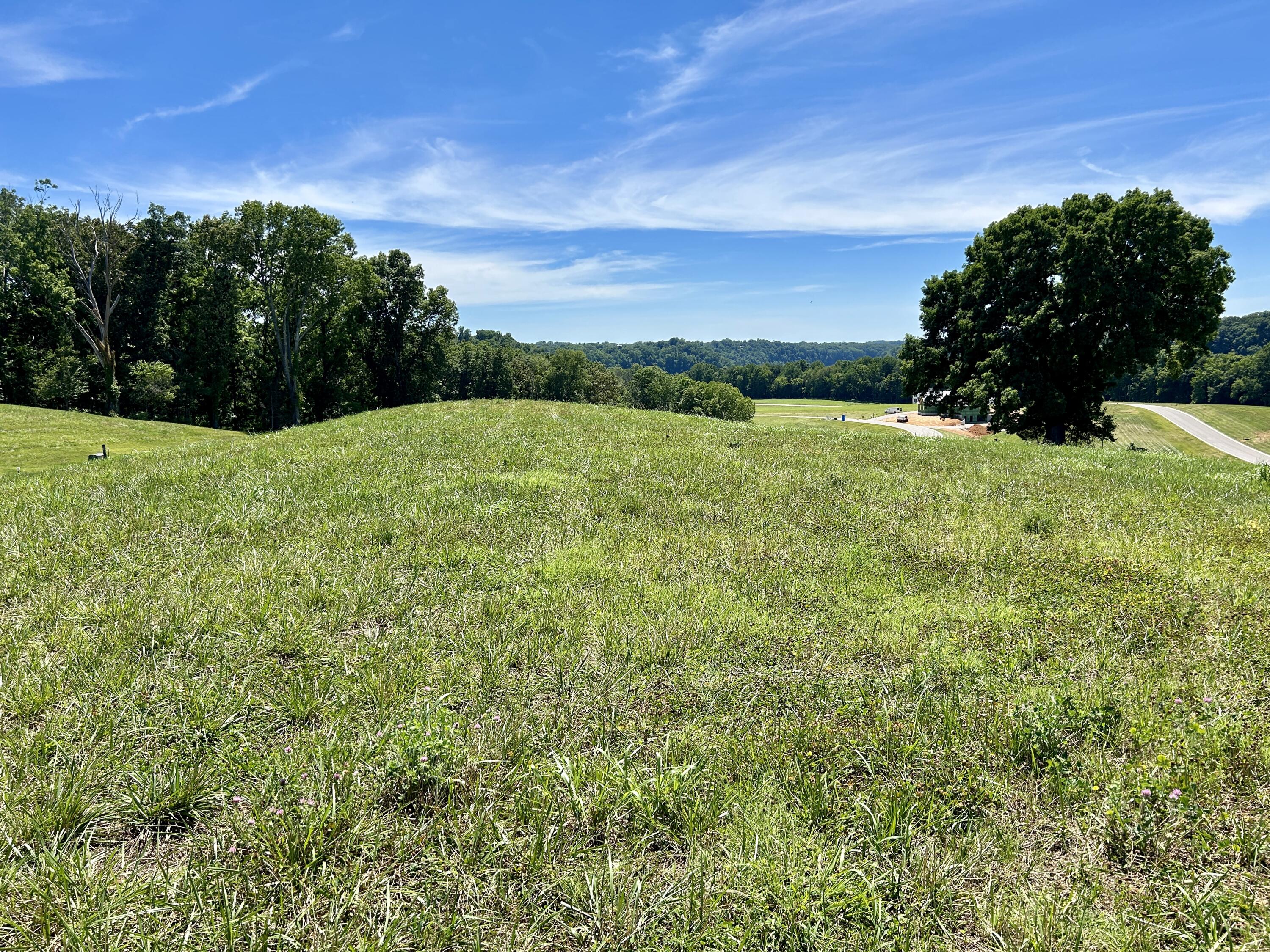 Lot 8 Lakemere Drive