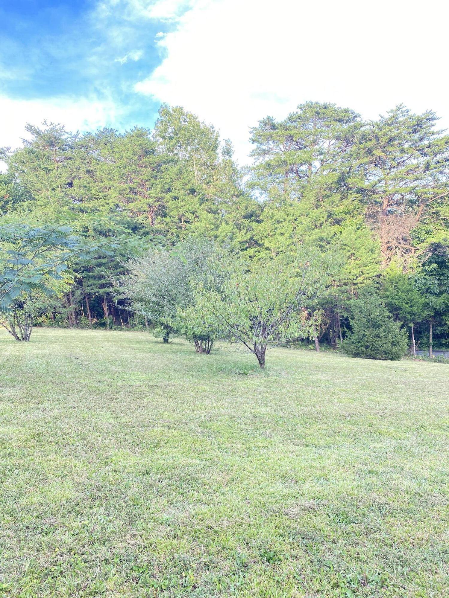 Lot# 3,4 Avalon Drive