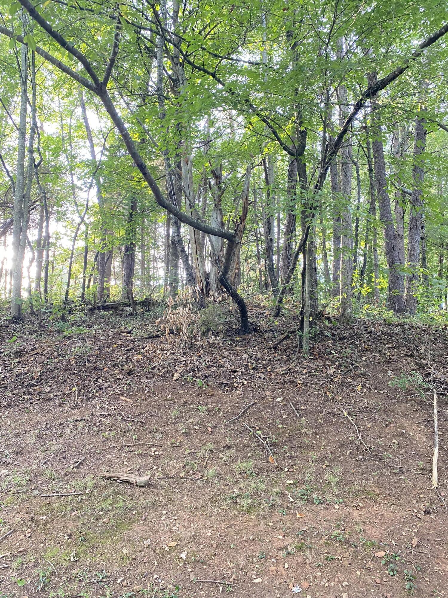 Lot# 3,4 Avalon Drive