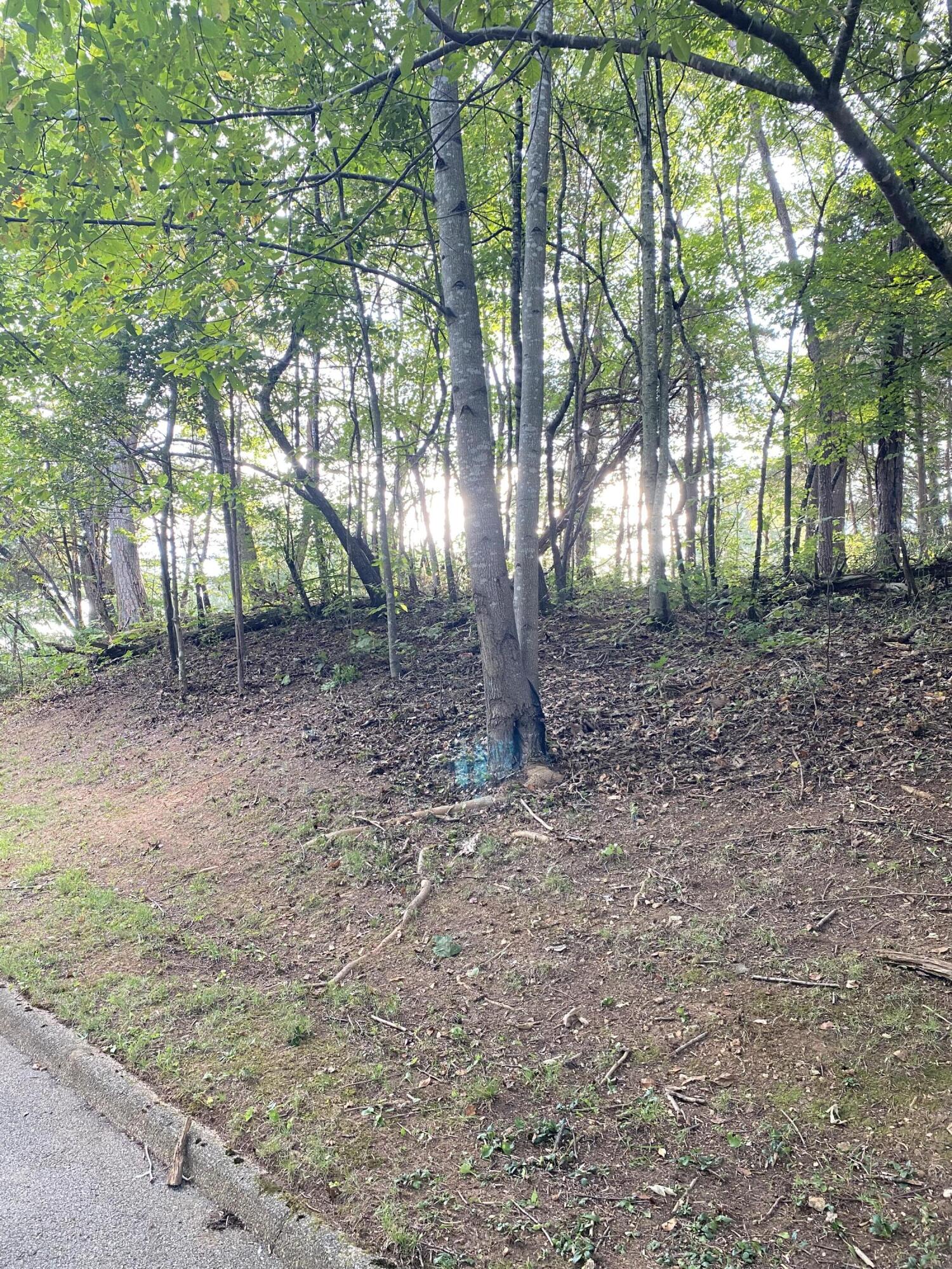 Lot# 3,4 Avalon Drive