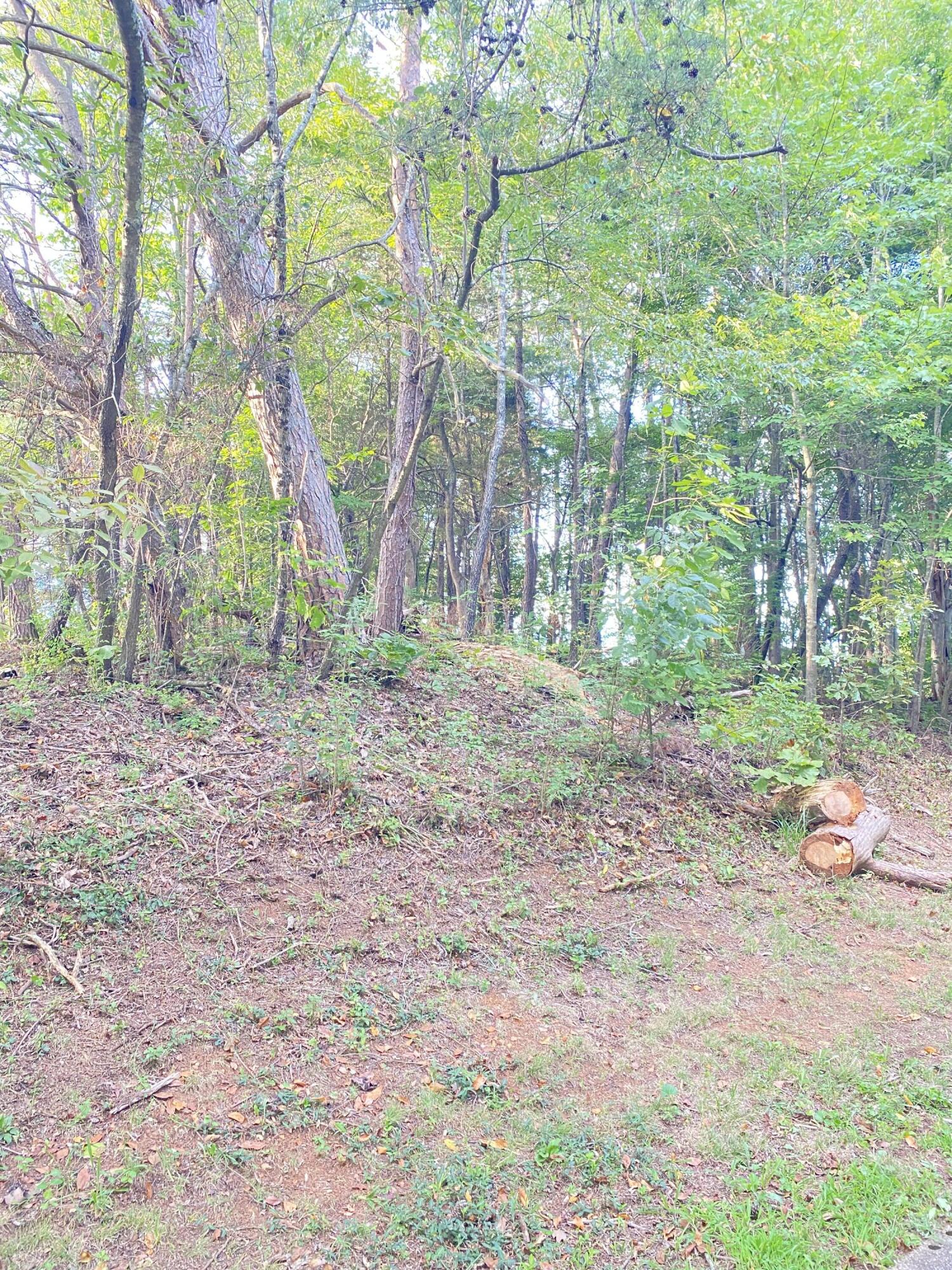 Lot# 3,4 Avalon Drive