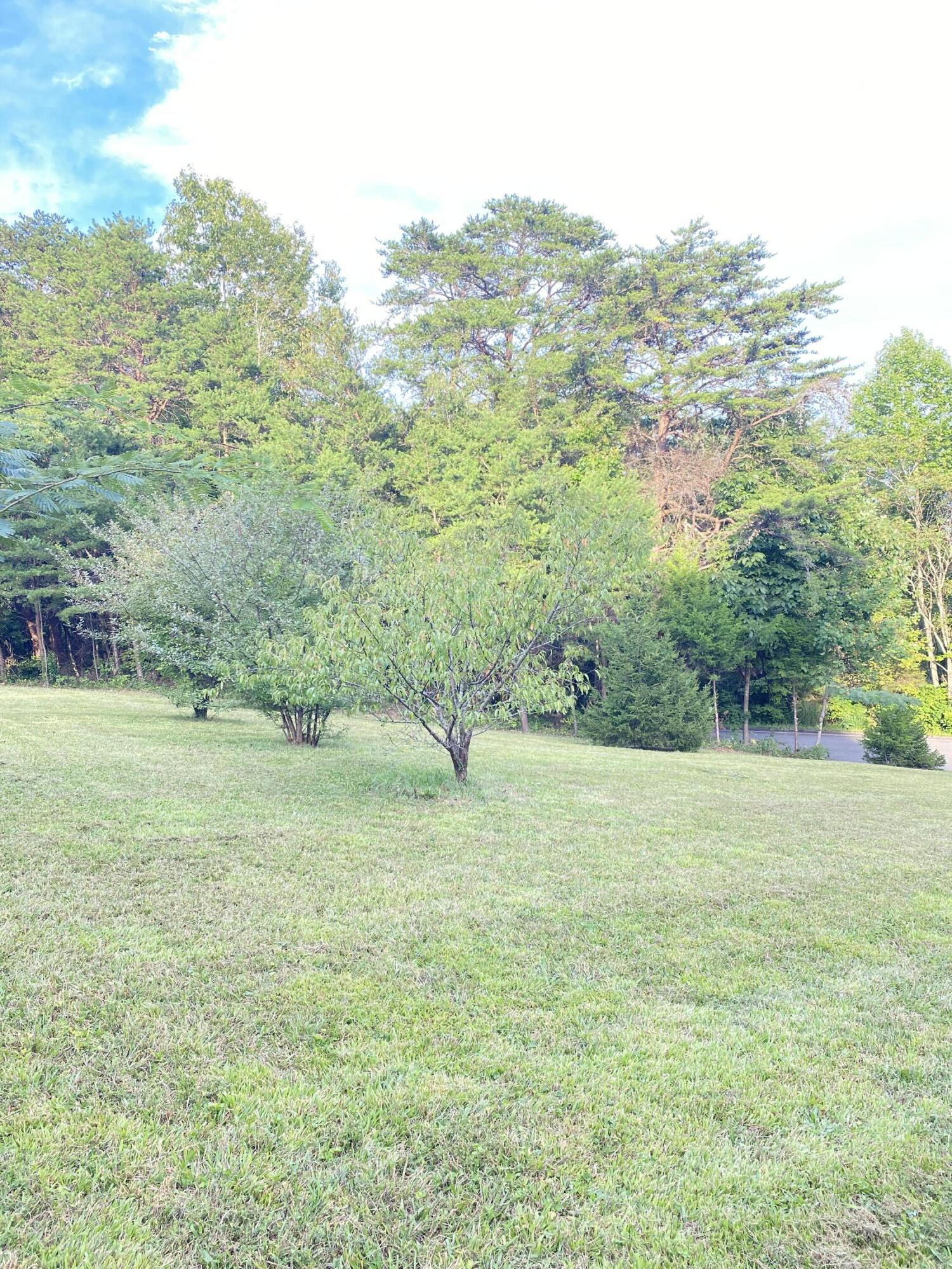 Lot# 3,4 Avalon Drive