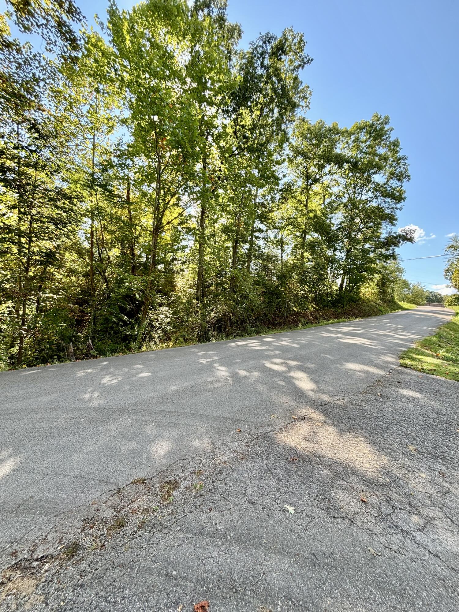 00 Lower Shirt factory Road