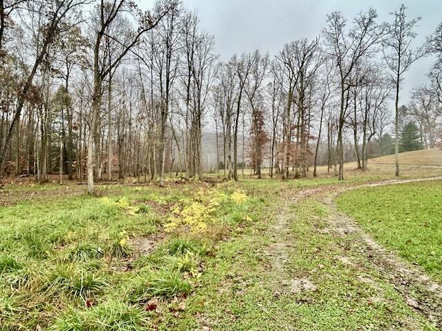 284 Hwy 934