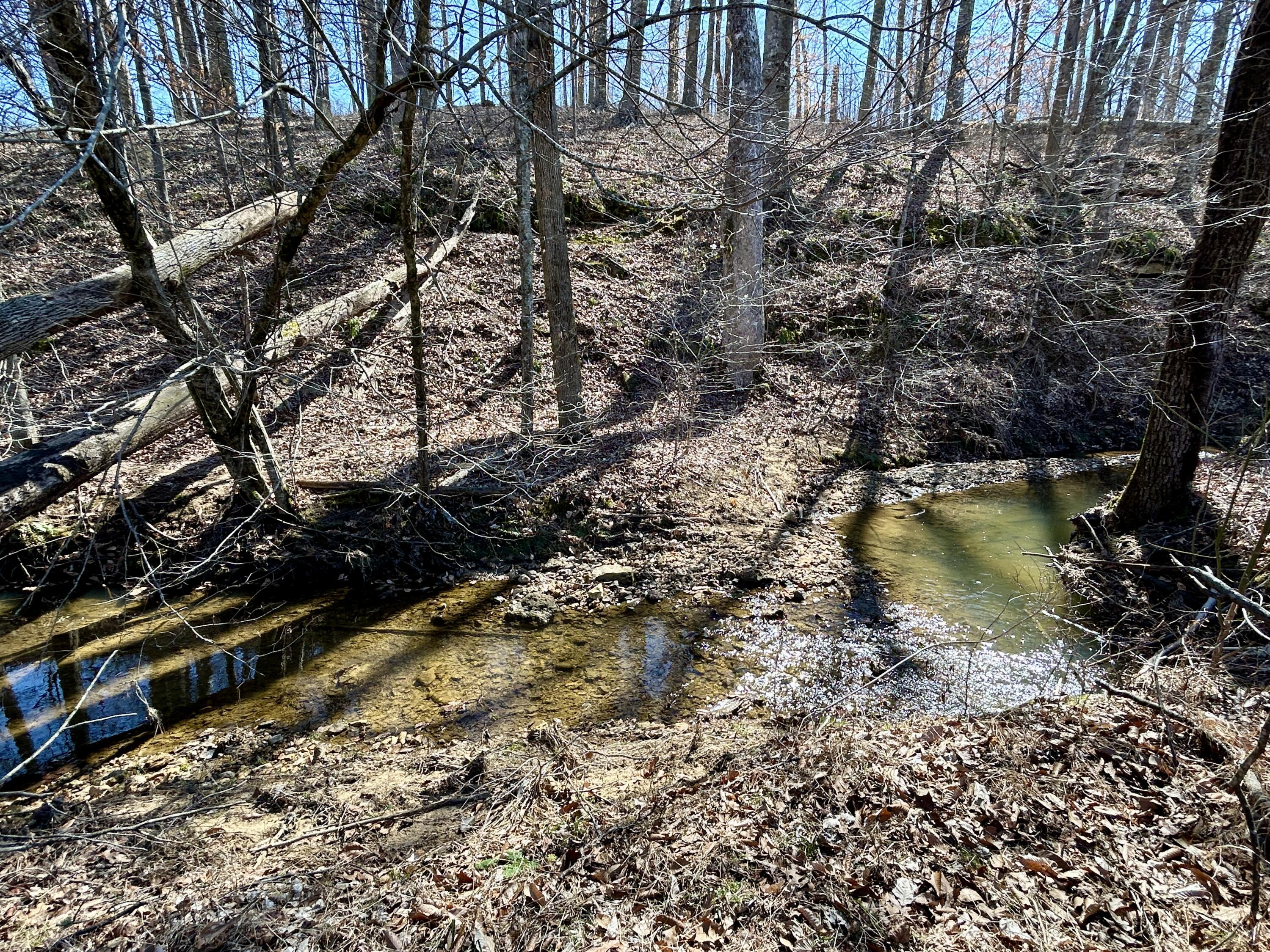 449 Silver Creek Drive