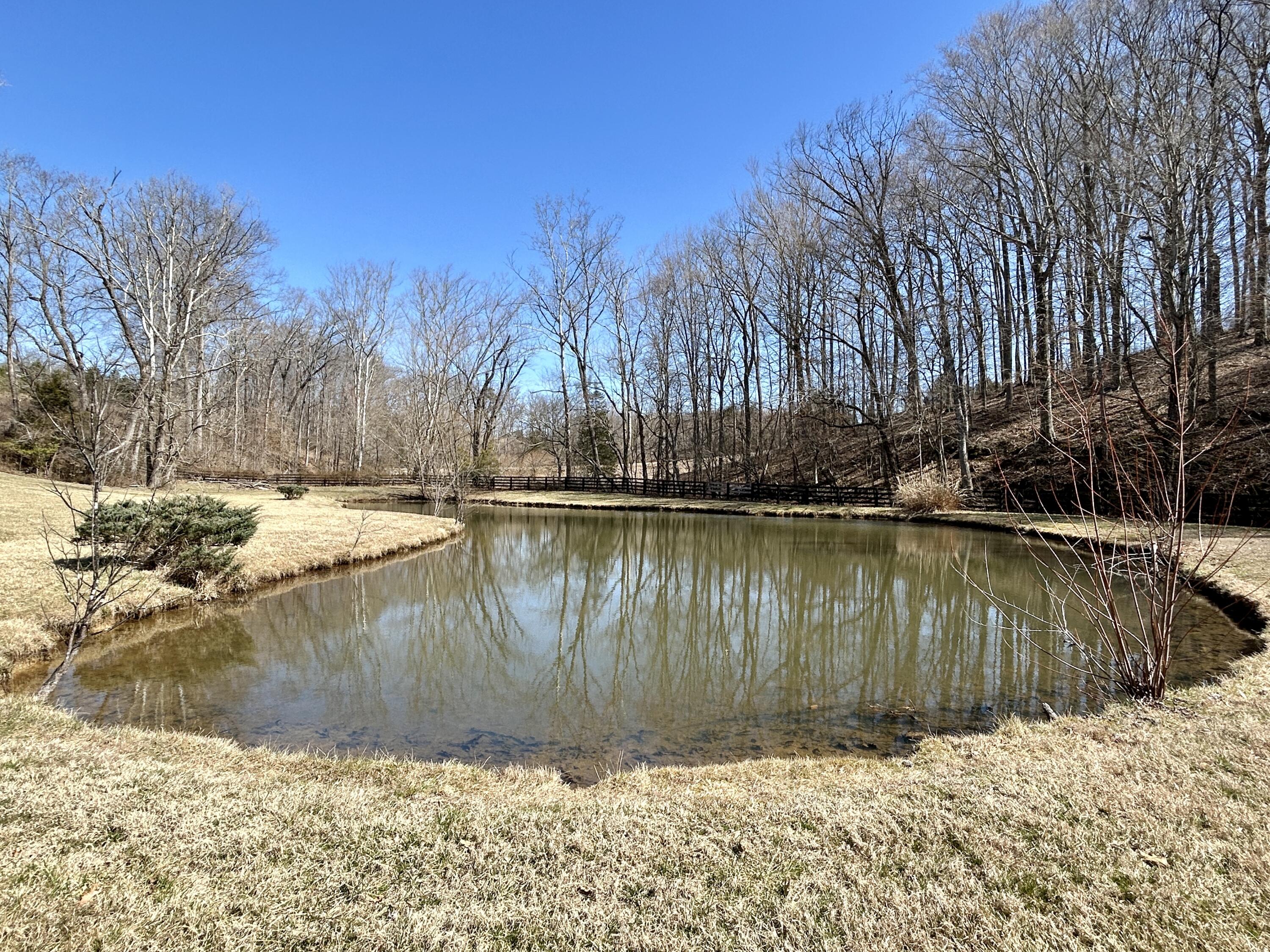 449 Silver Creek Drive