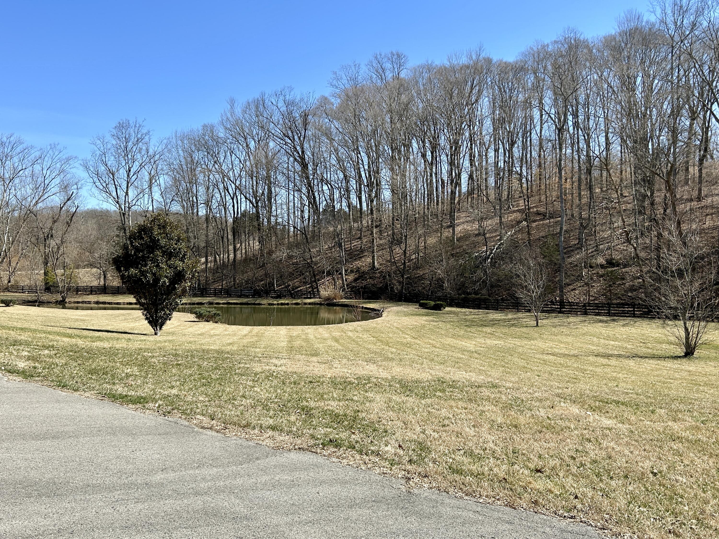 449 Silver Creek Drive