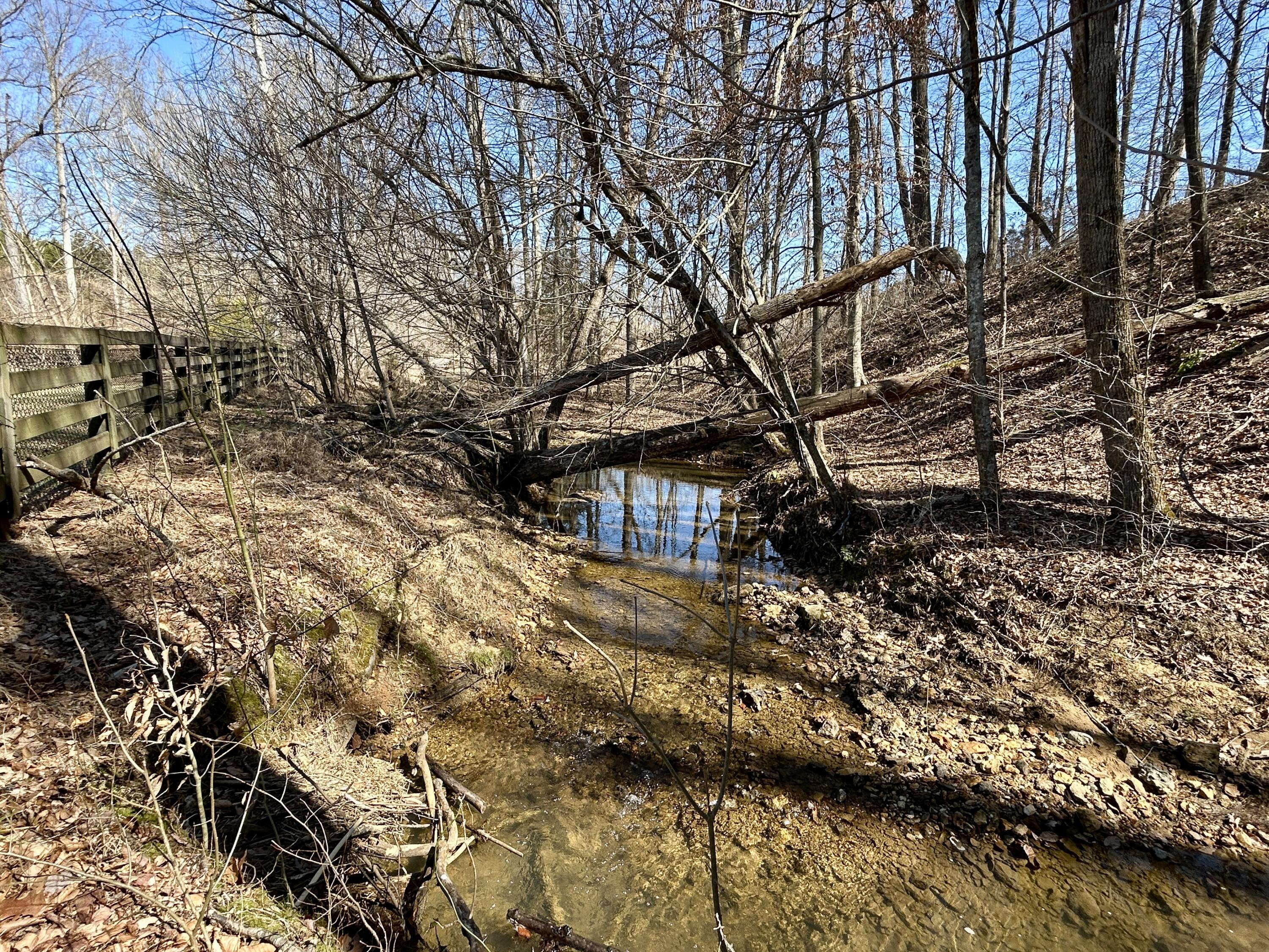 449 Silver Creek Drive