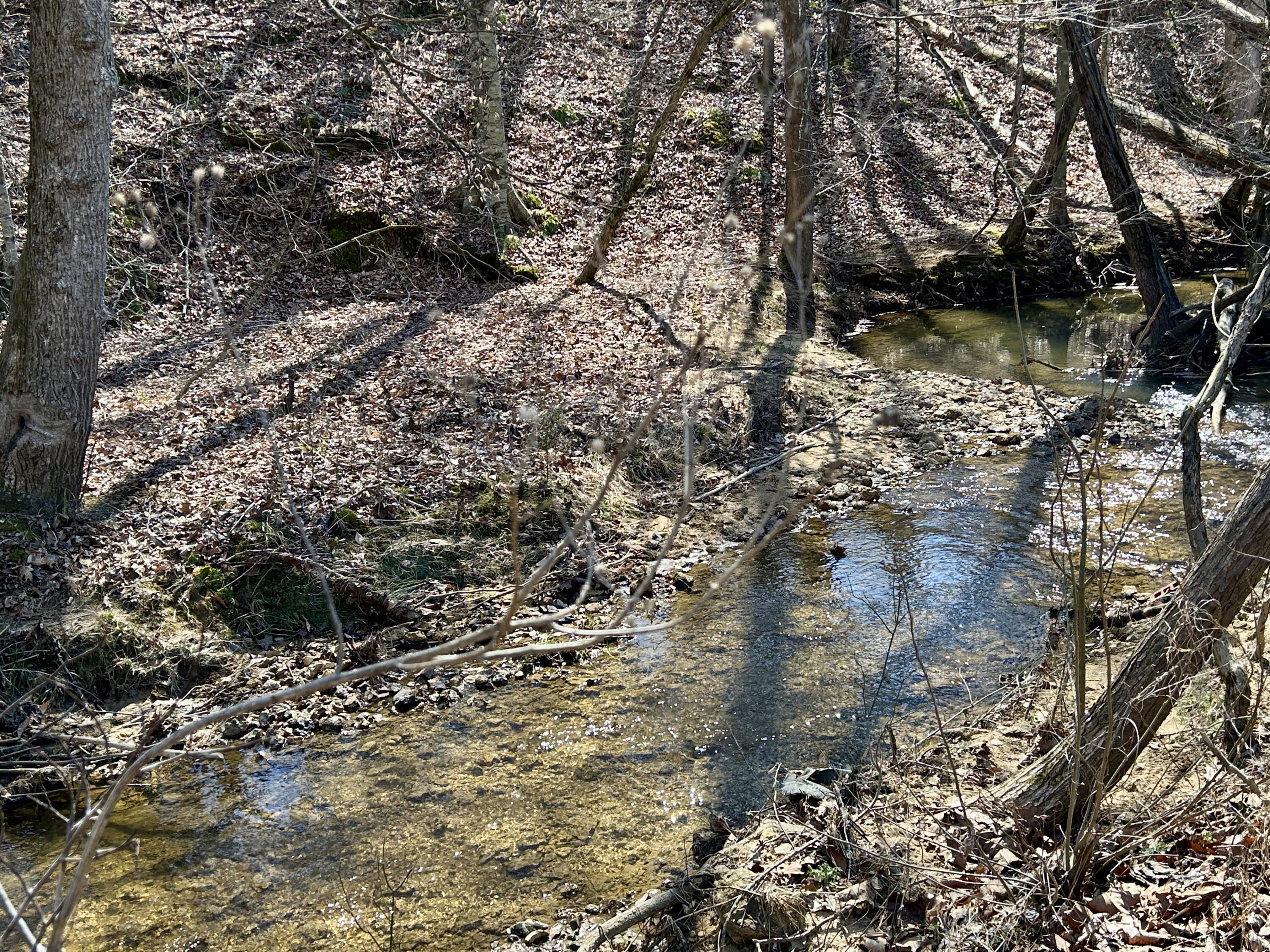 449 Silver Creek Drive