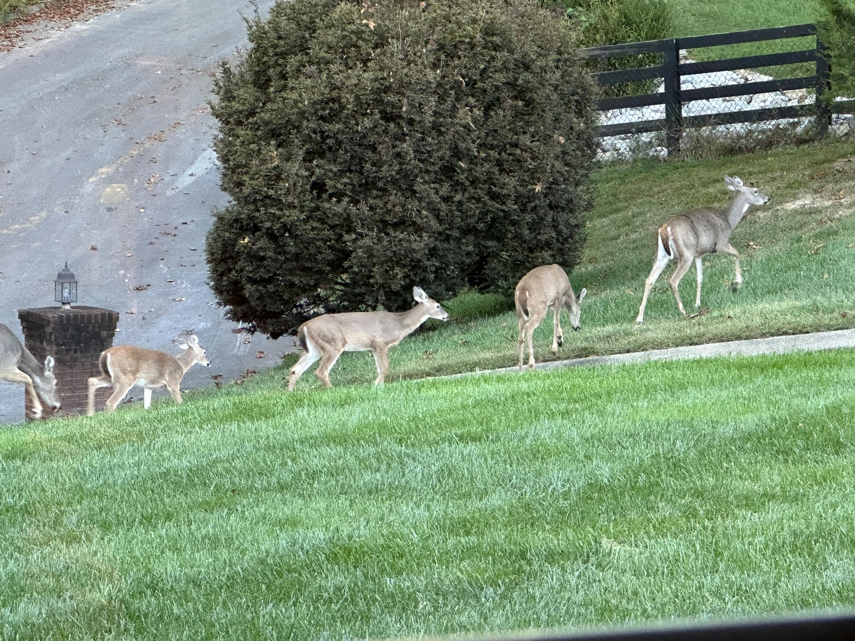 449 Silver Creek Drive