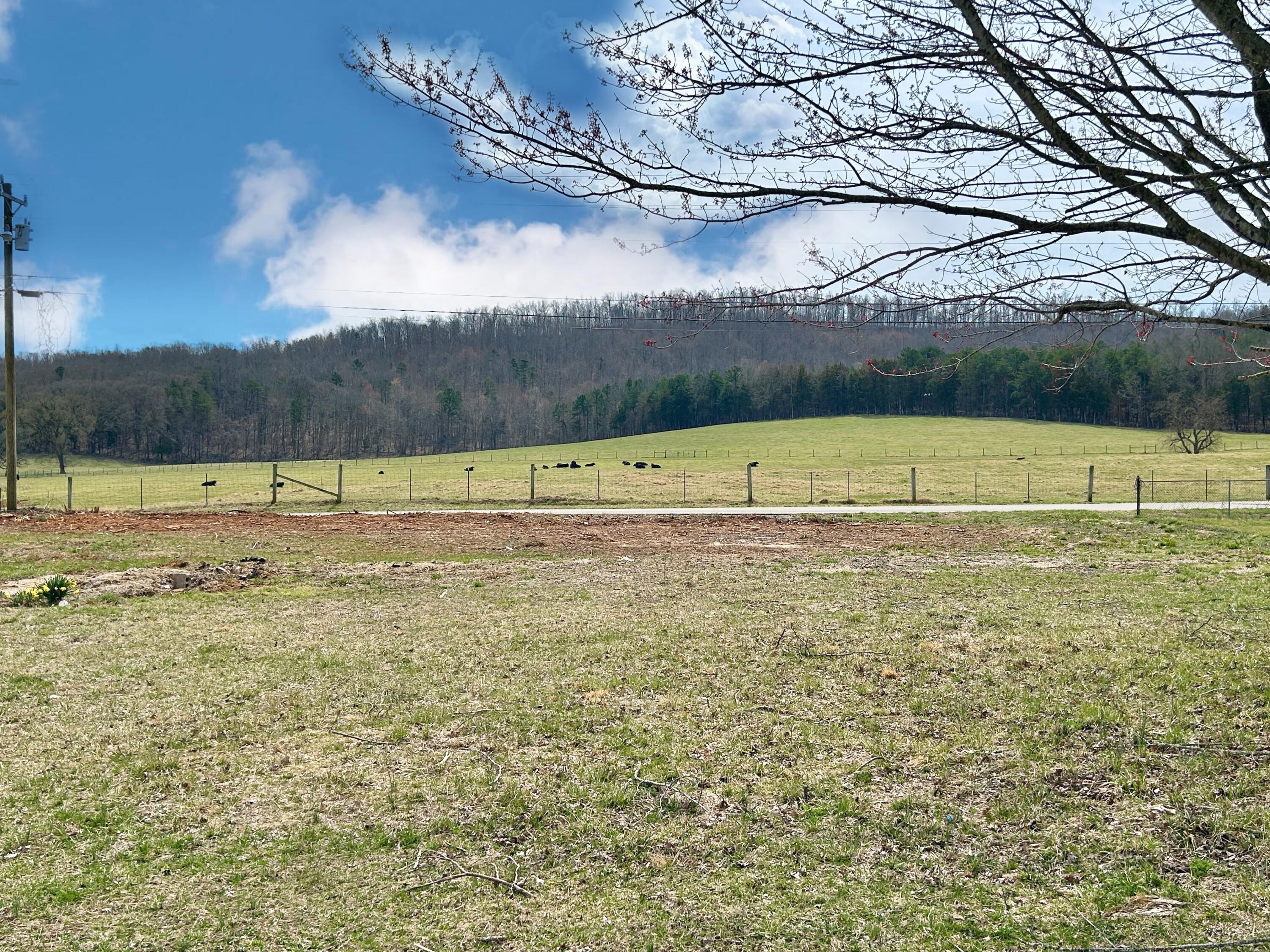 Lot 44 Bonnie Blue Lane