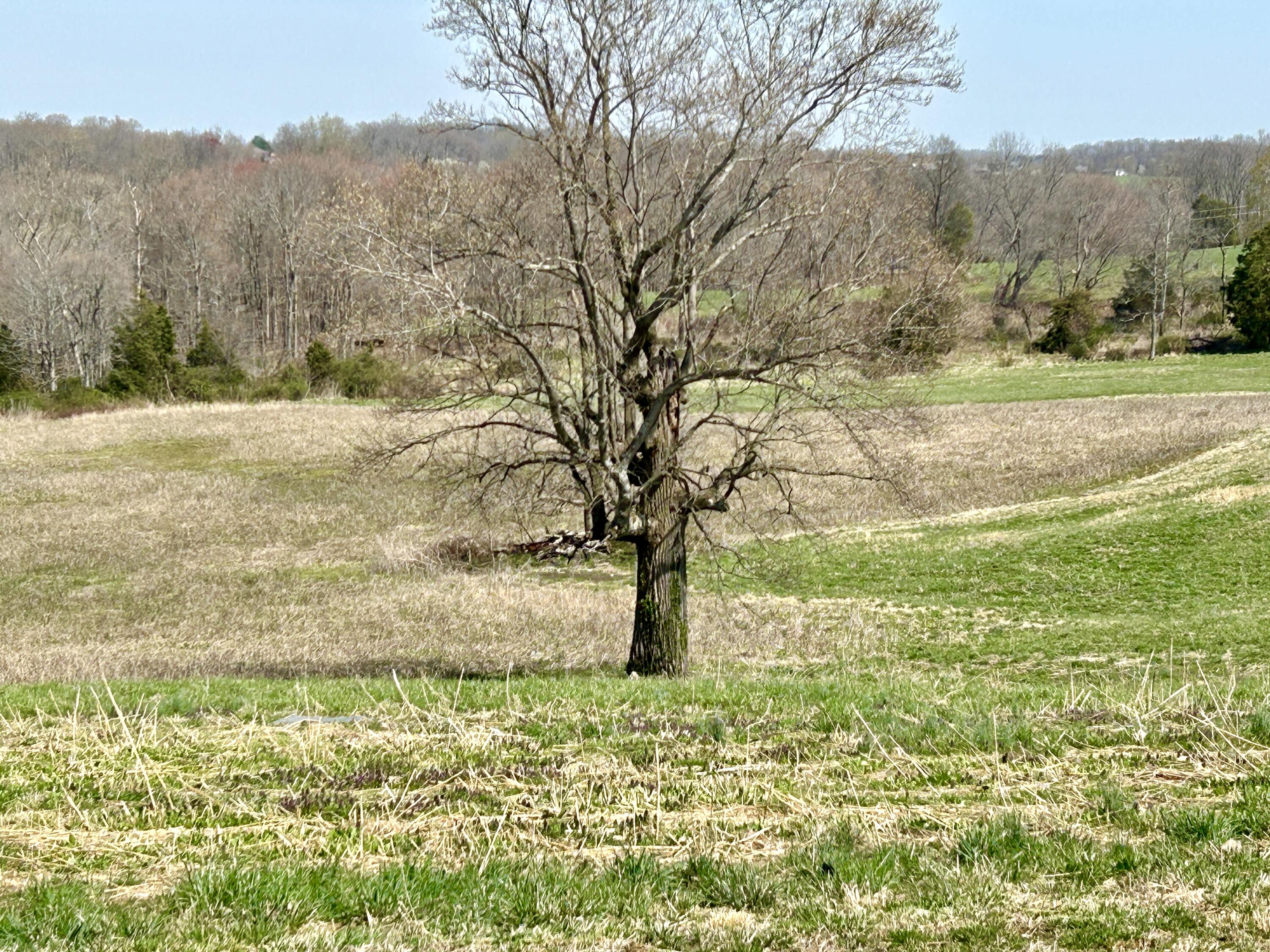 796 East Old Norwood Road