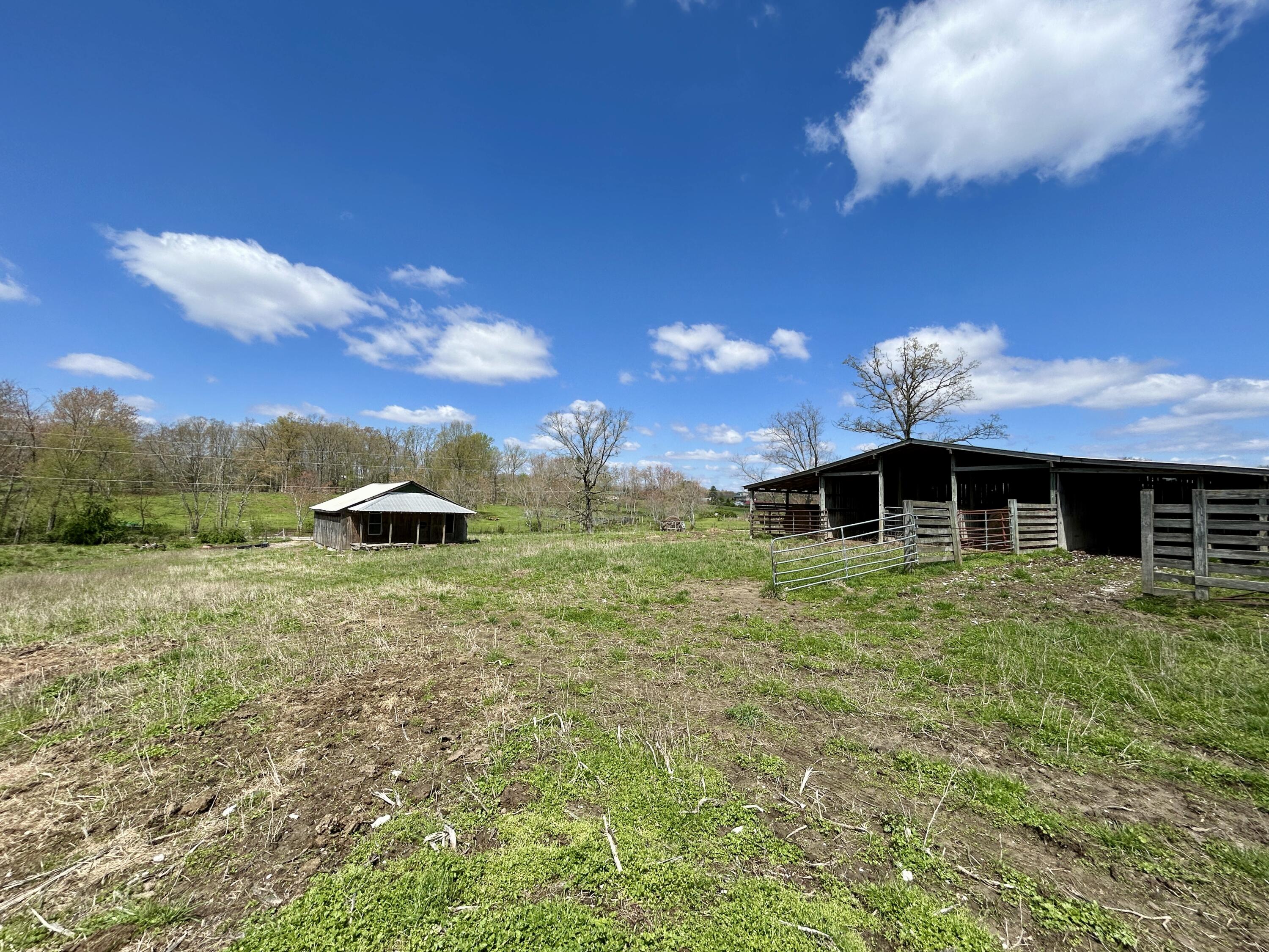 428 Dick Wilson Road