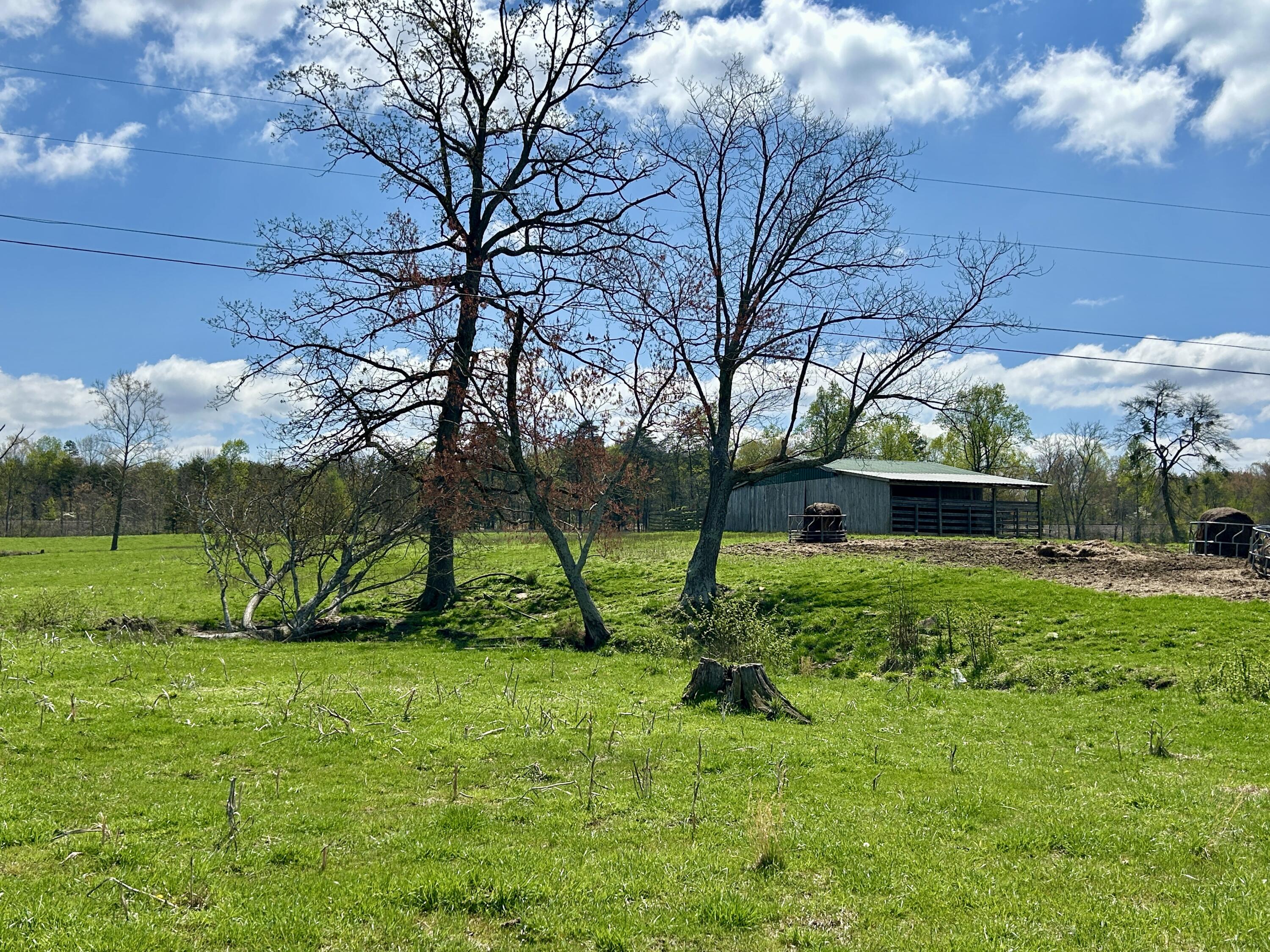 428 Dick Wilson Road