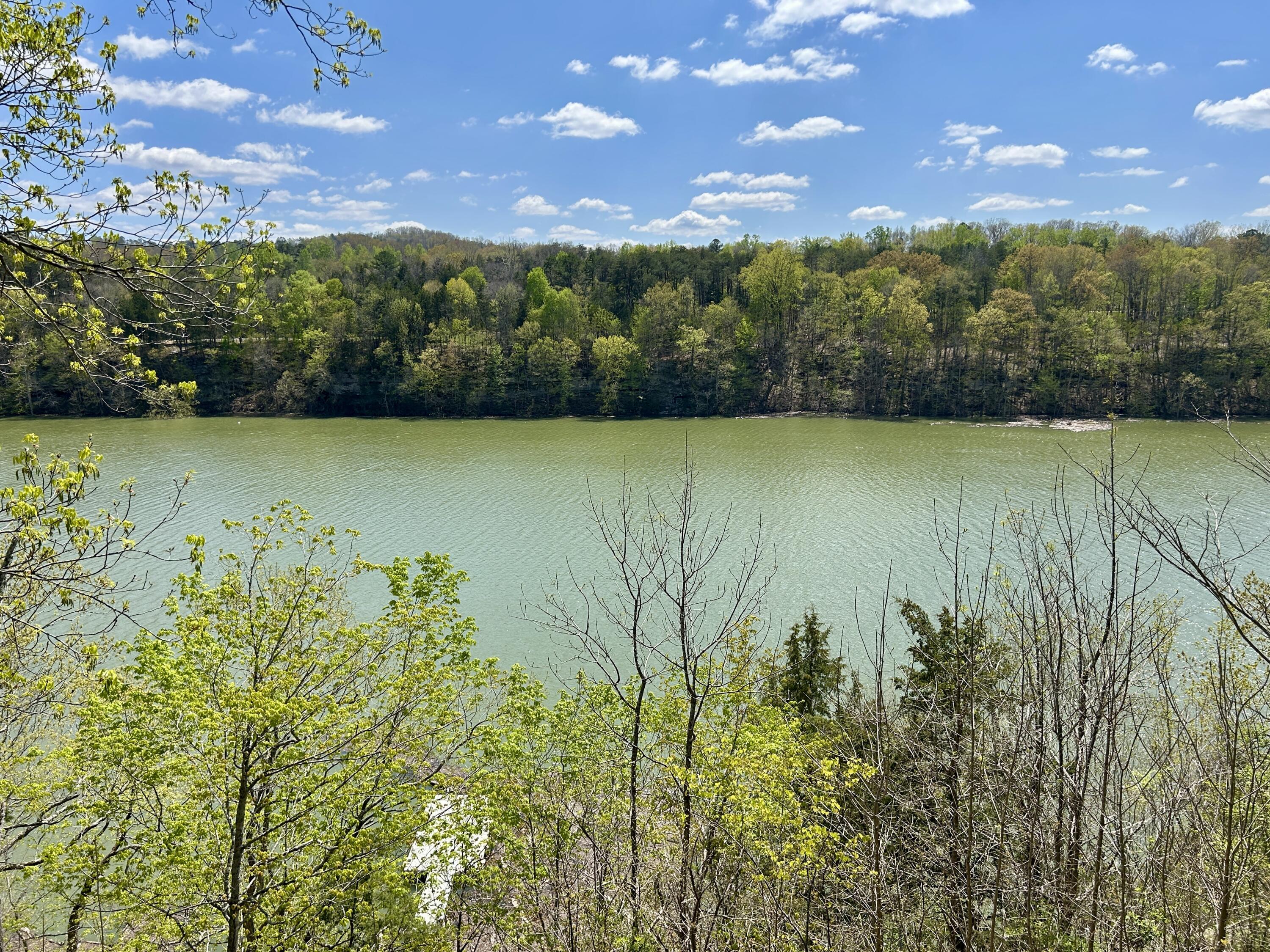 114 Lewis Bray Court