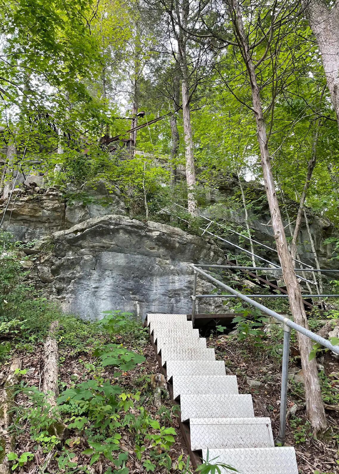 114 Lewis Bray Court