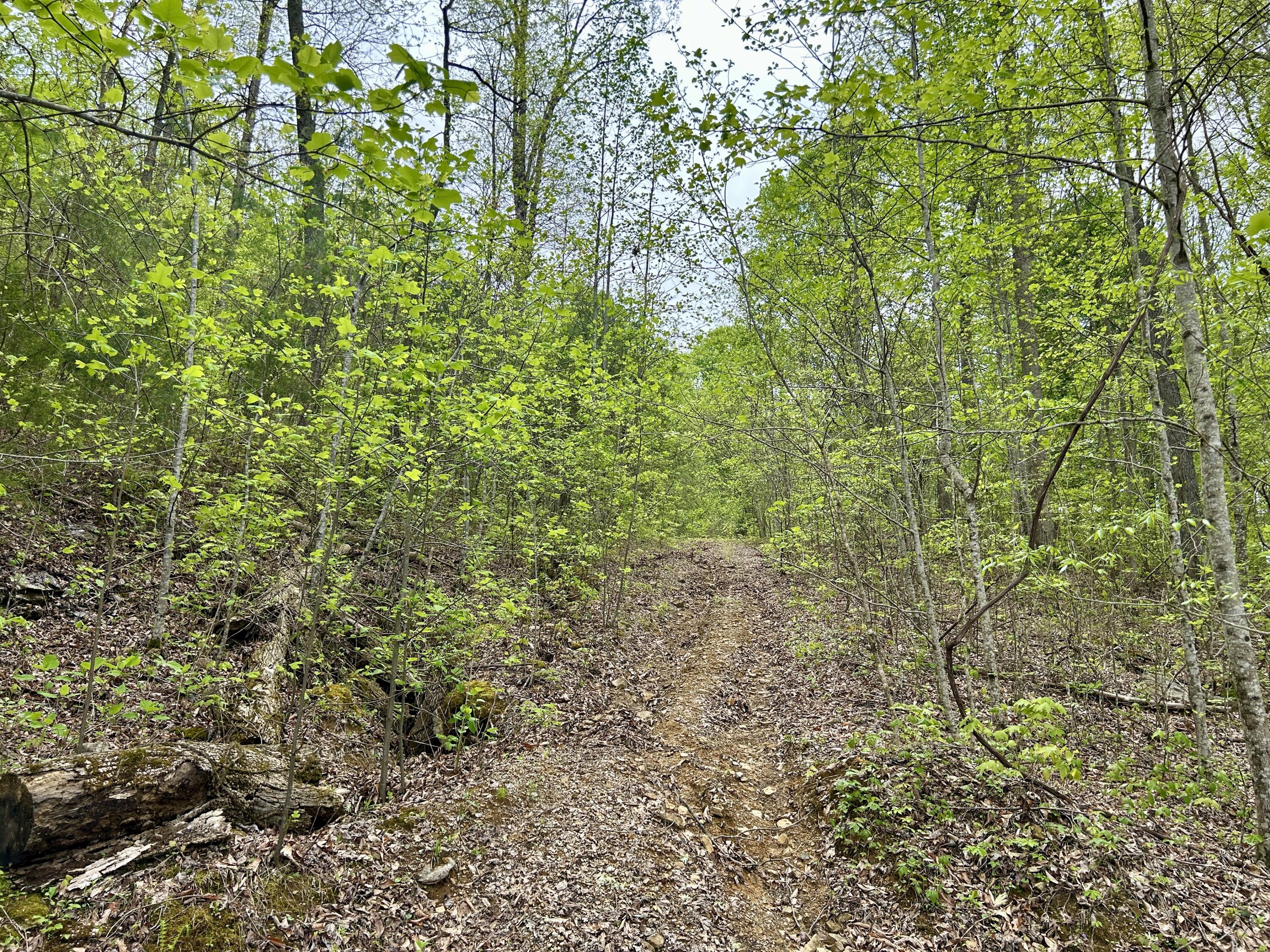 20 Mountain Path