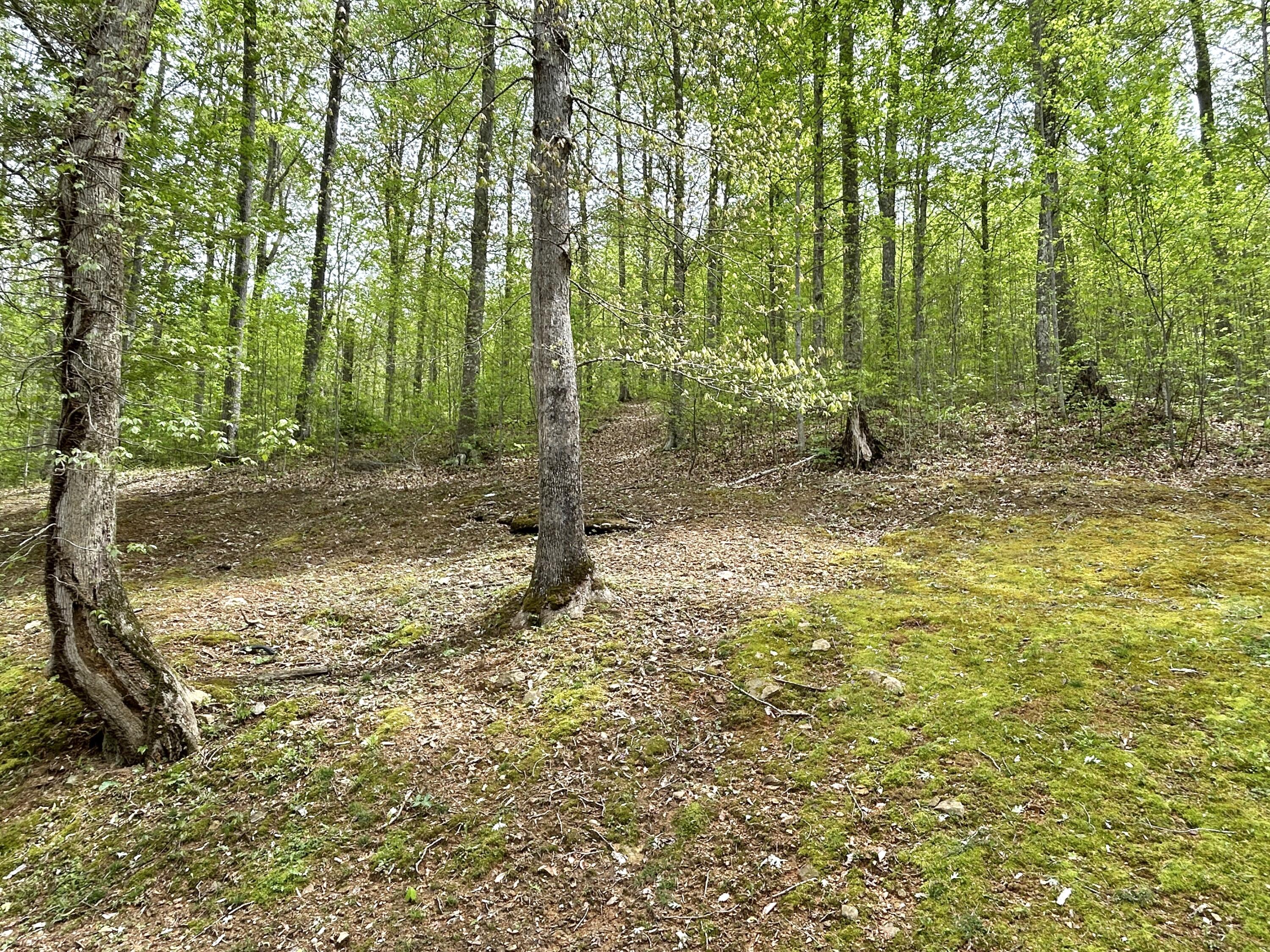 20 Mountain Path