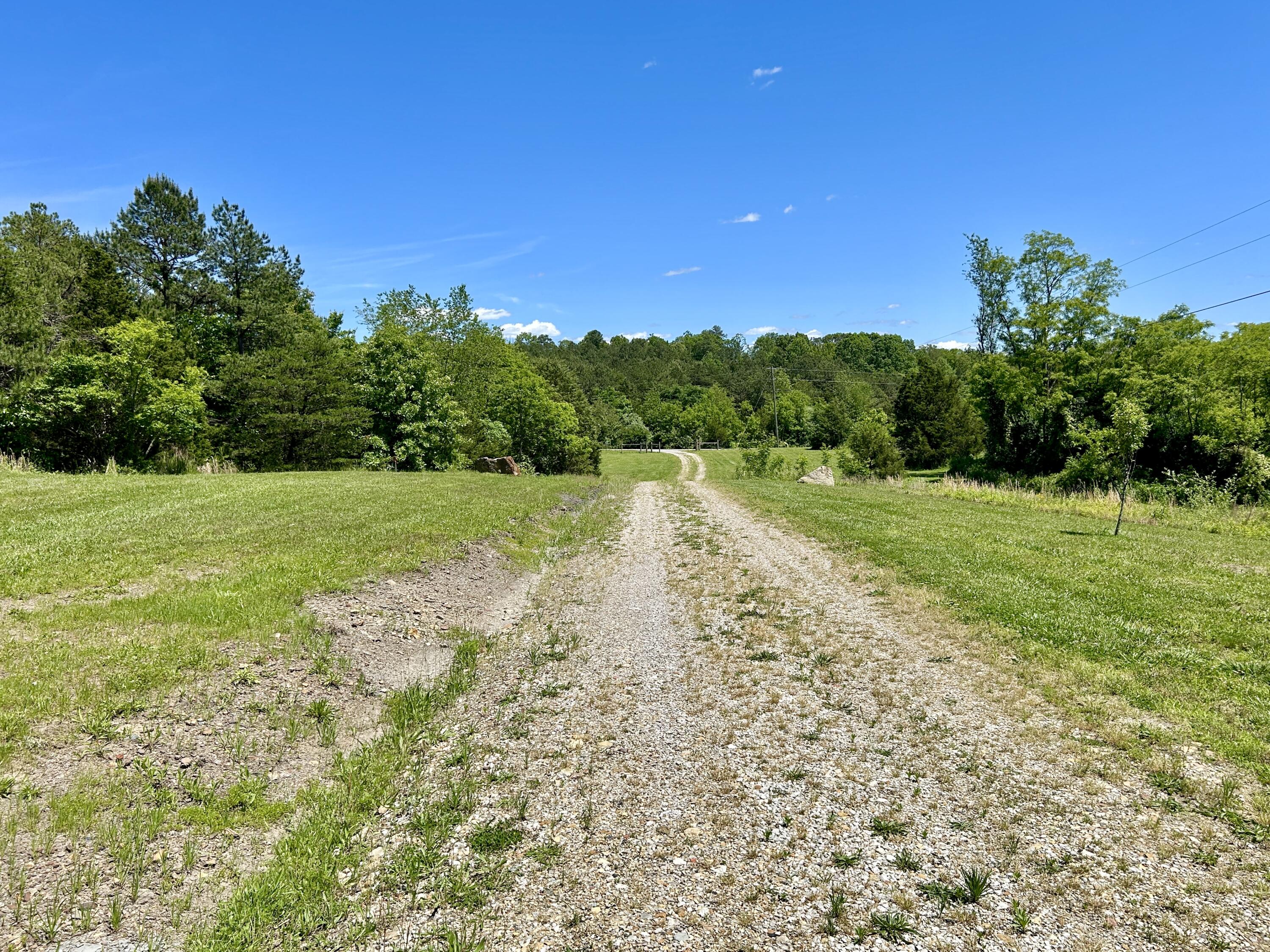 7485 State Hwy 1675