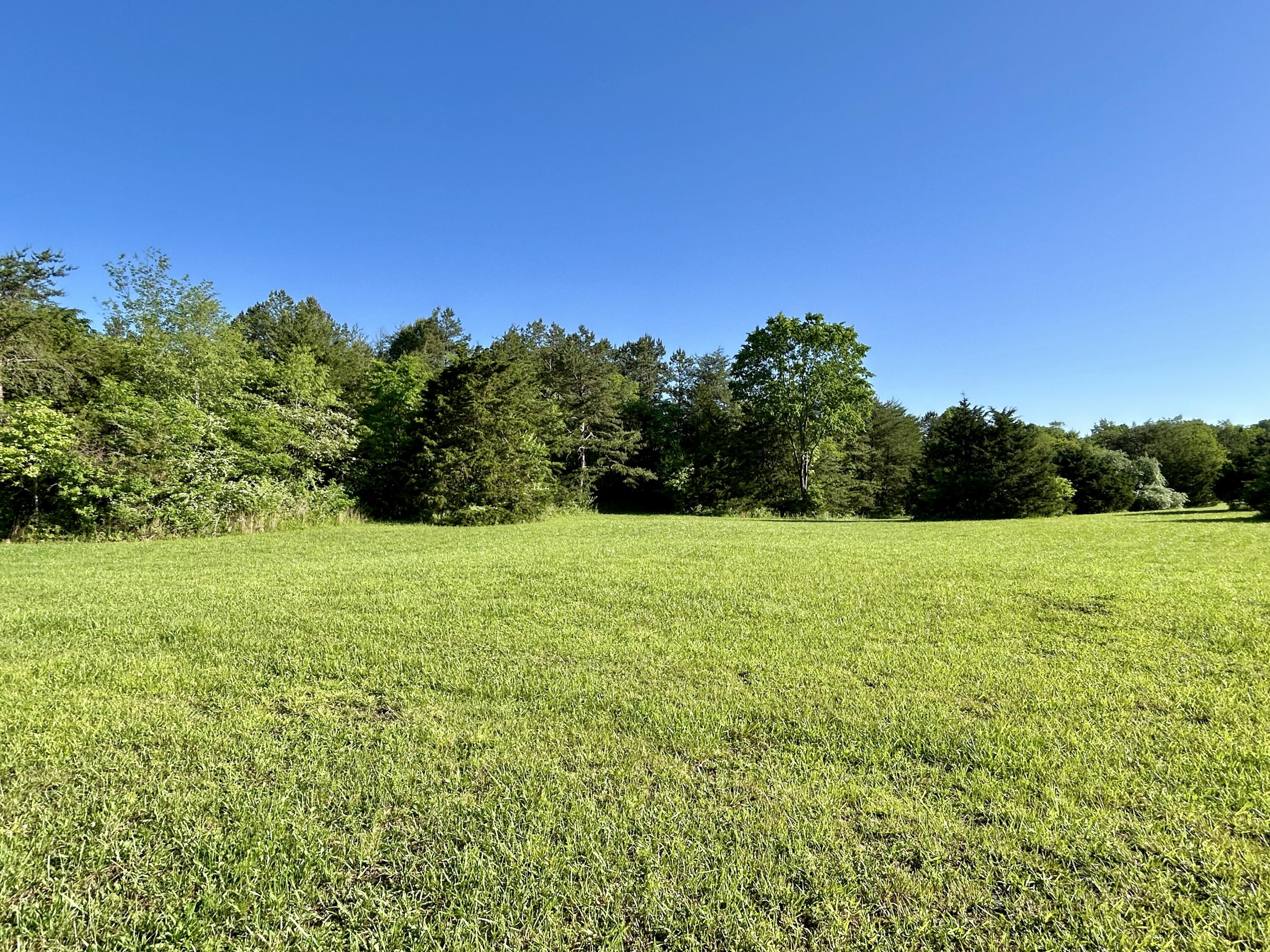 7485 State Hwy 1675