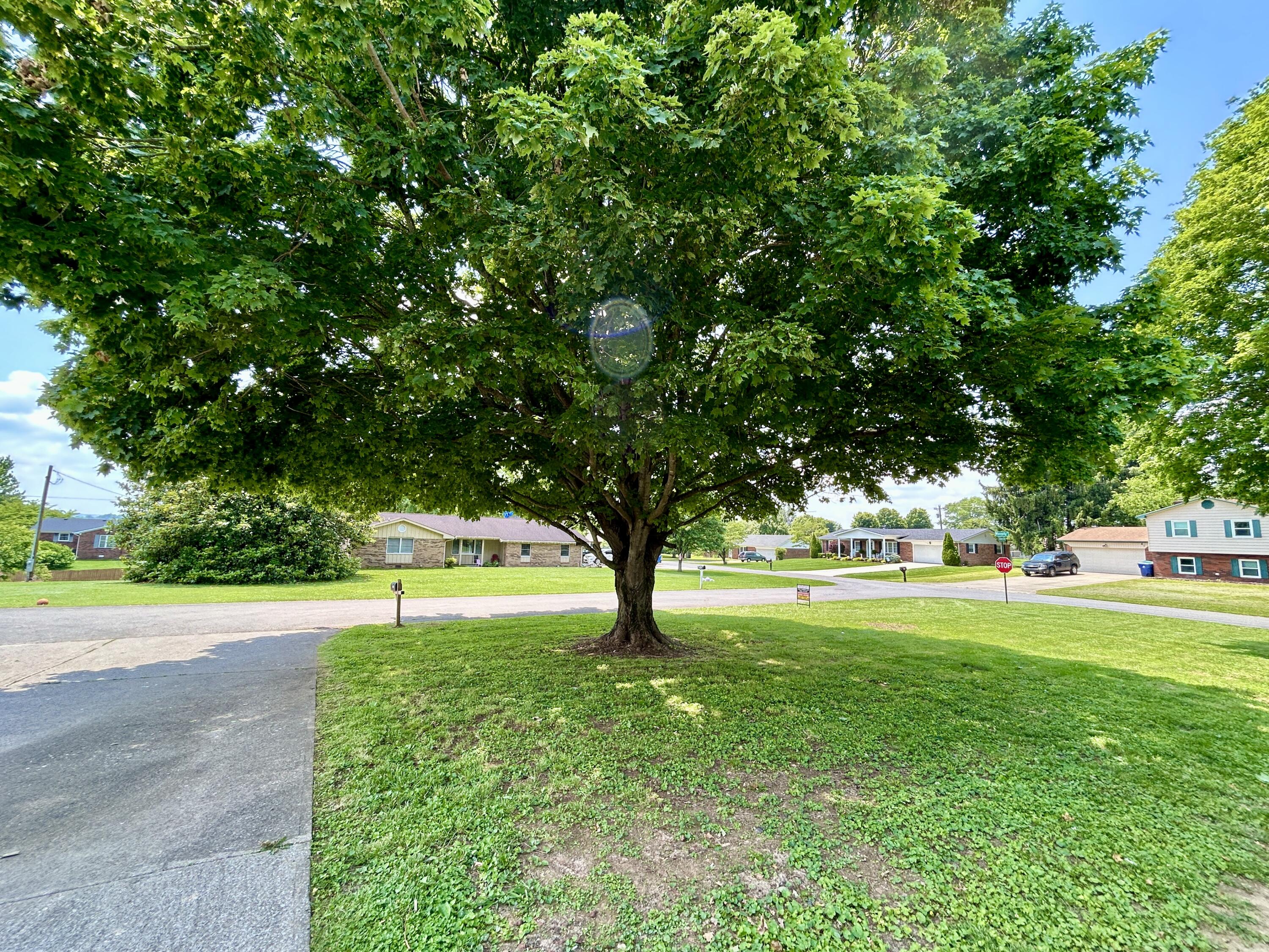 201 Auburn Avenue