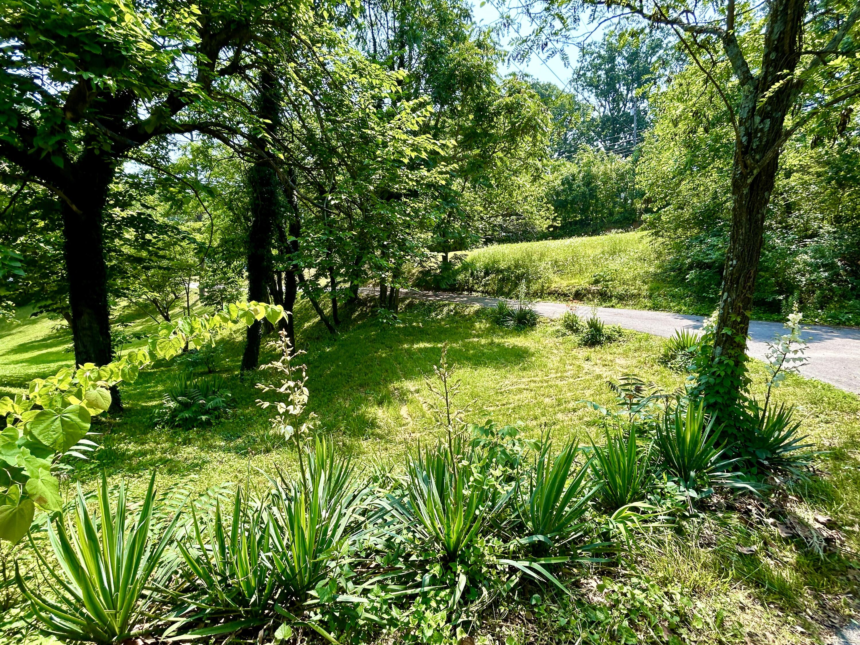 52 Heath and Chestnut Road