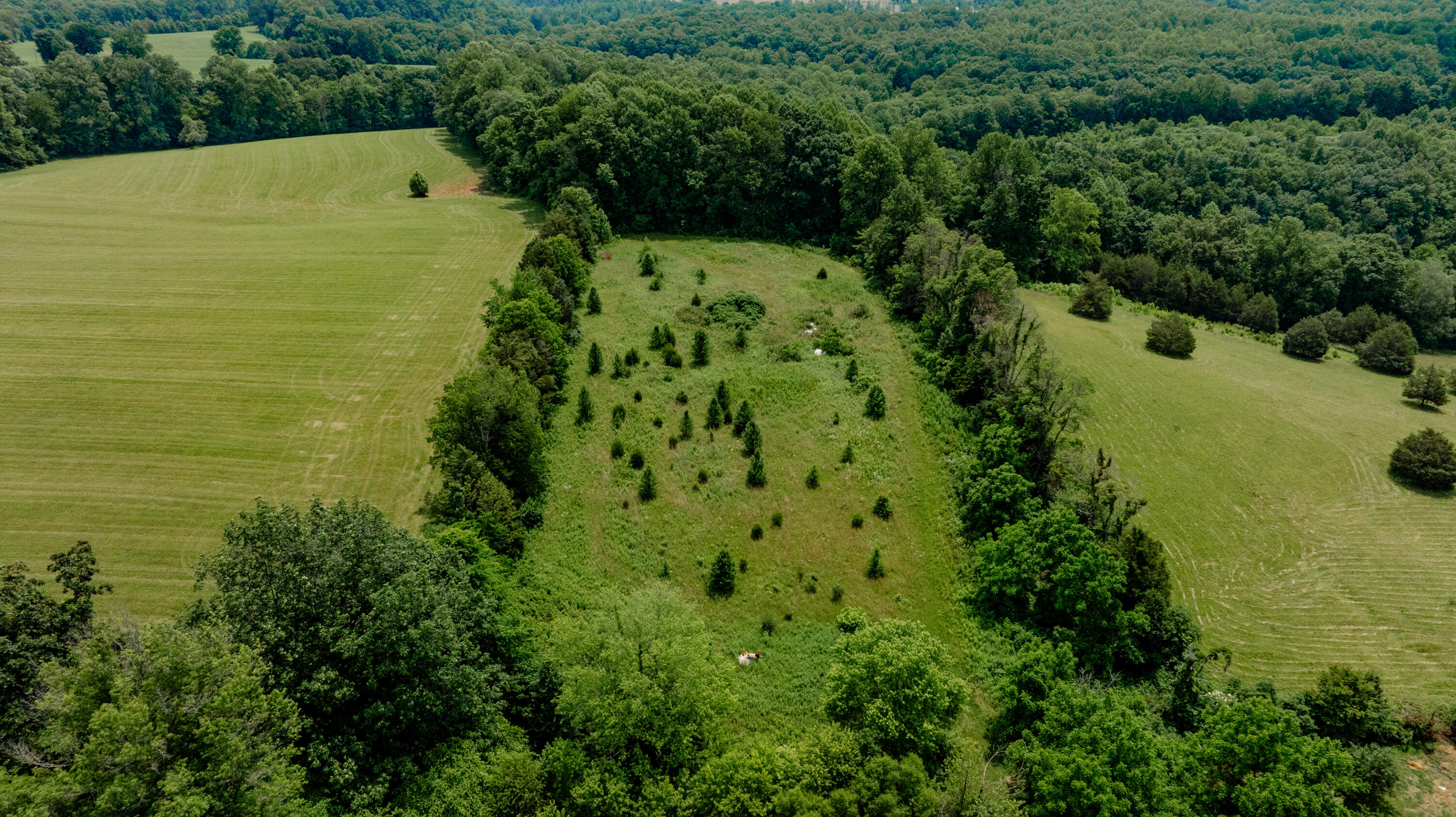 1366 Old Waynesburg Road