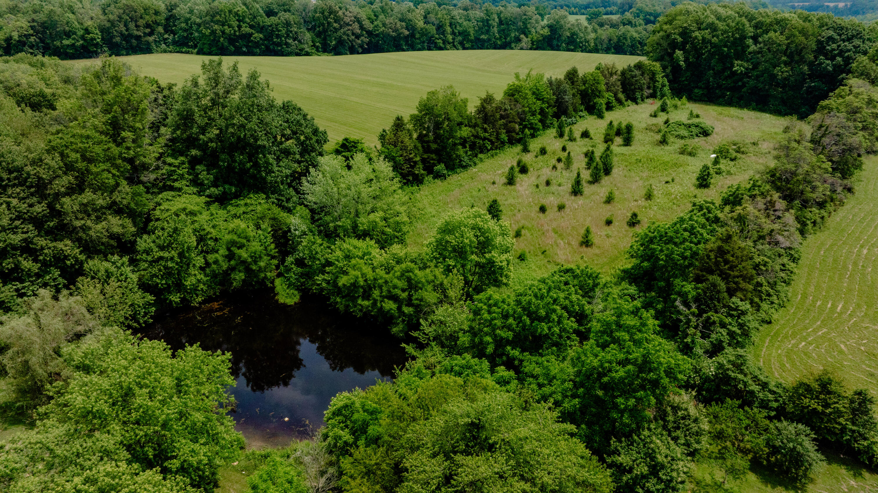 1366 Old Waynesburg Road