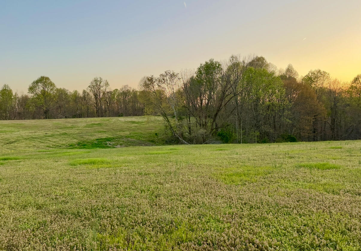 1715 Pleasant Point Road