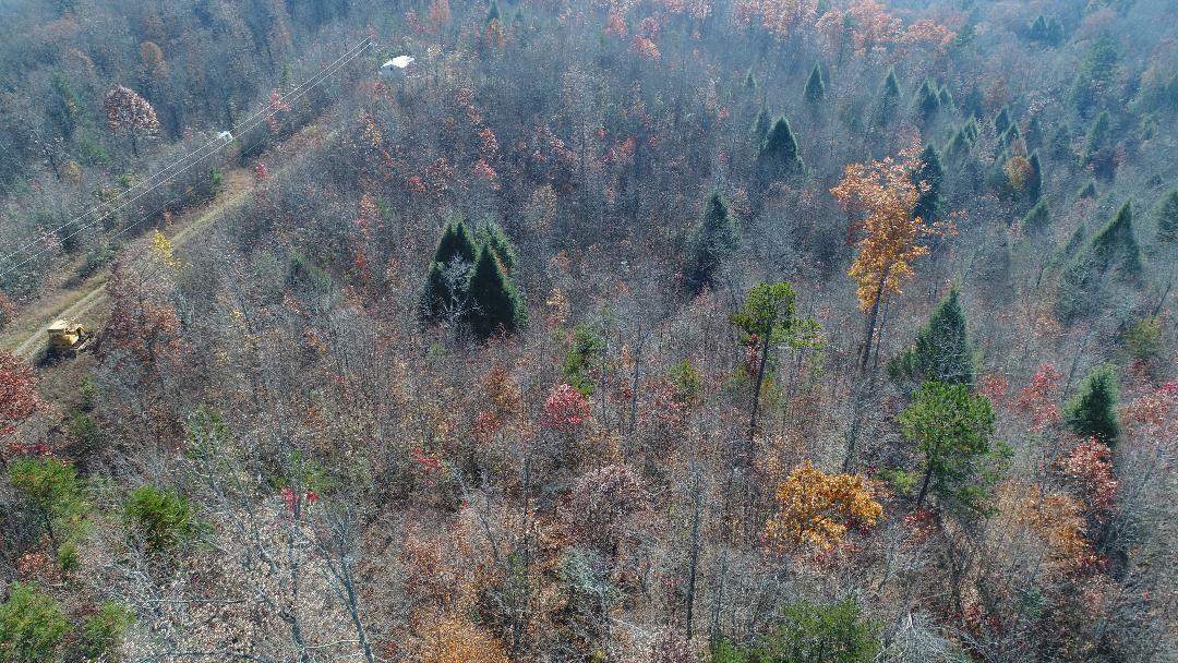 4520 Mill Creek Road