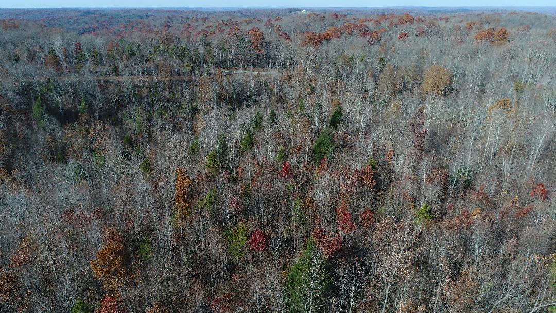 4520 Mill Creek Road