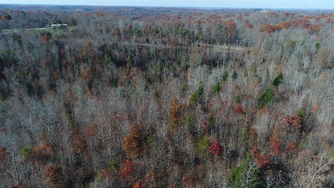 4520 Mill Creek Road