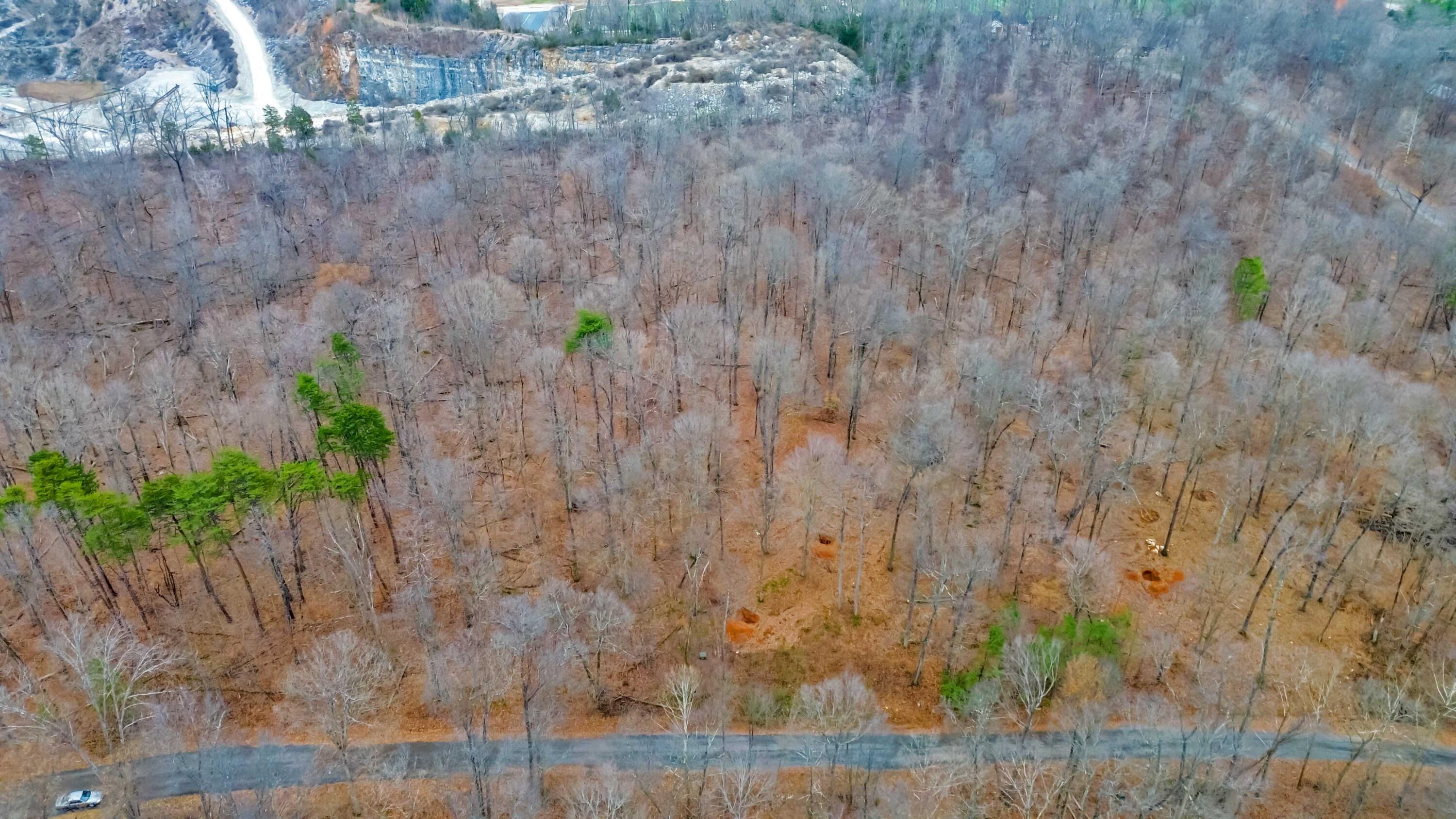 Lot 25 Hunter Lane