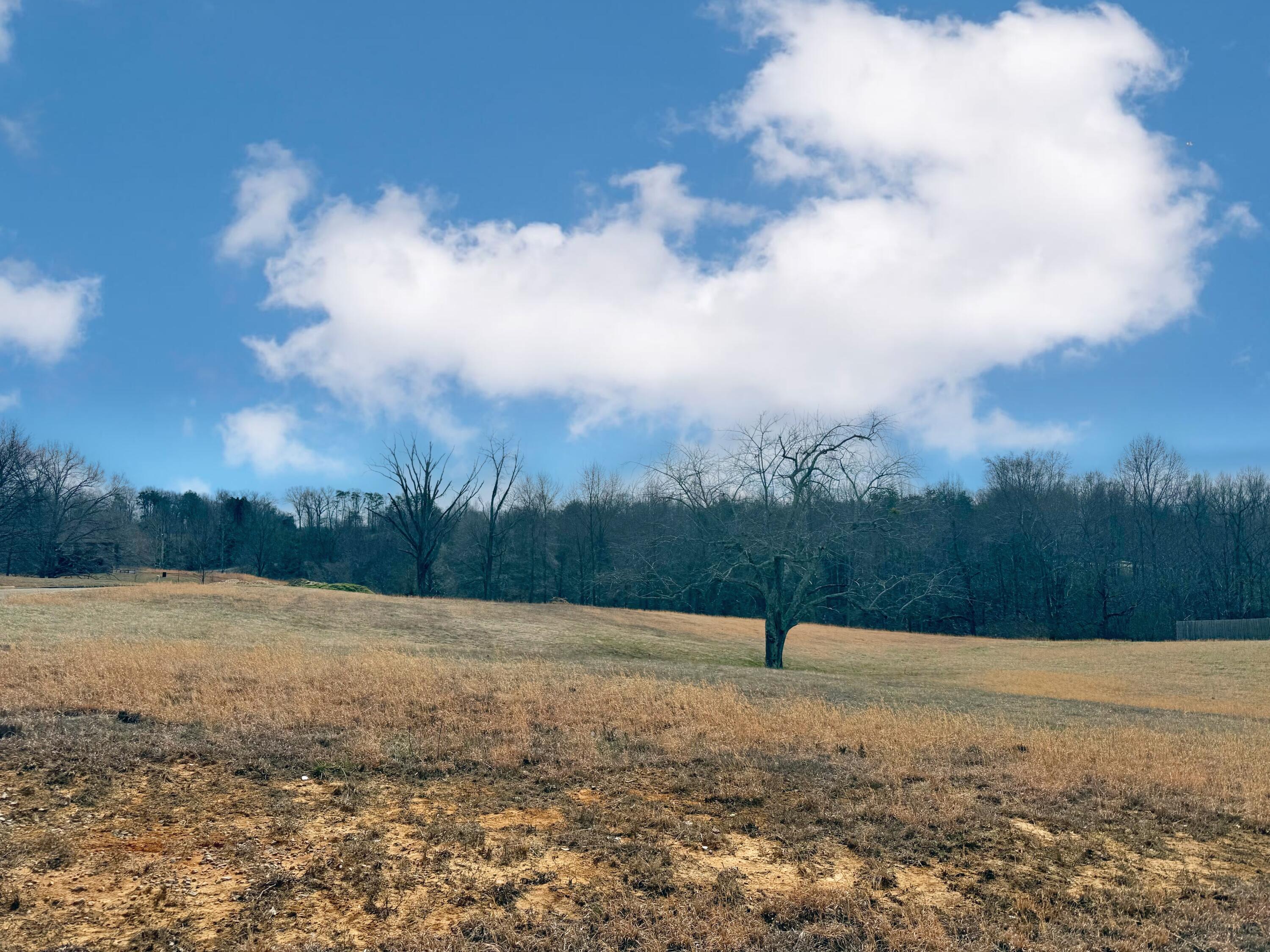 75 Morning Mist Drive