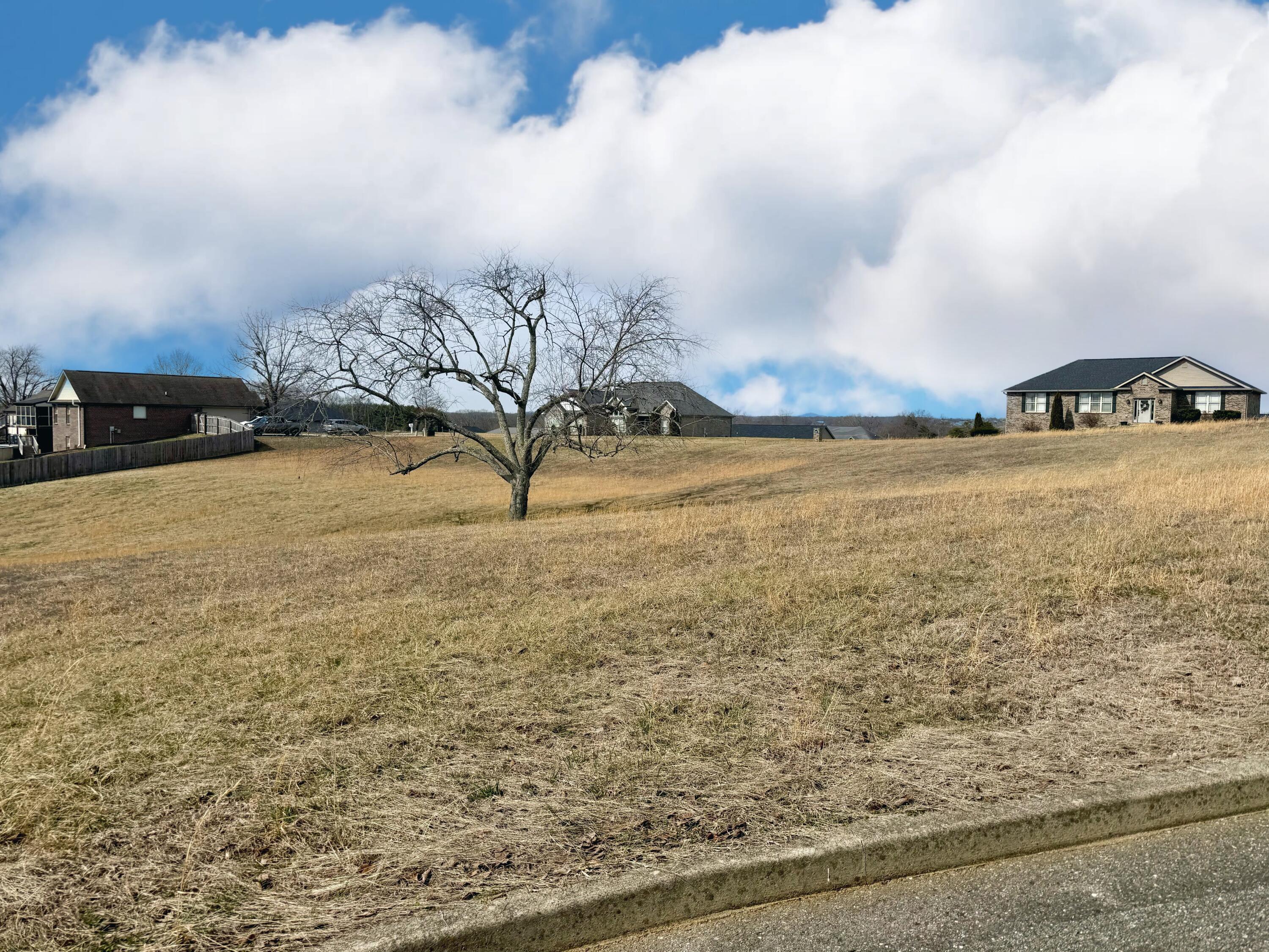 75 Morning Mist Drive