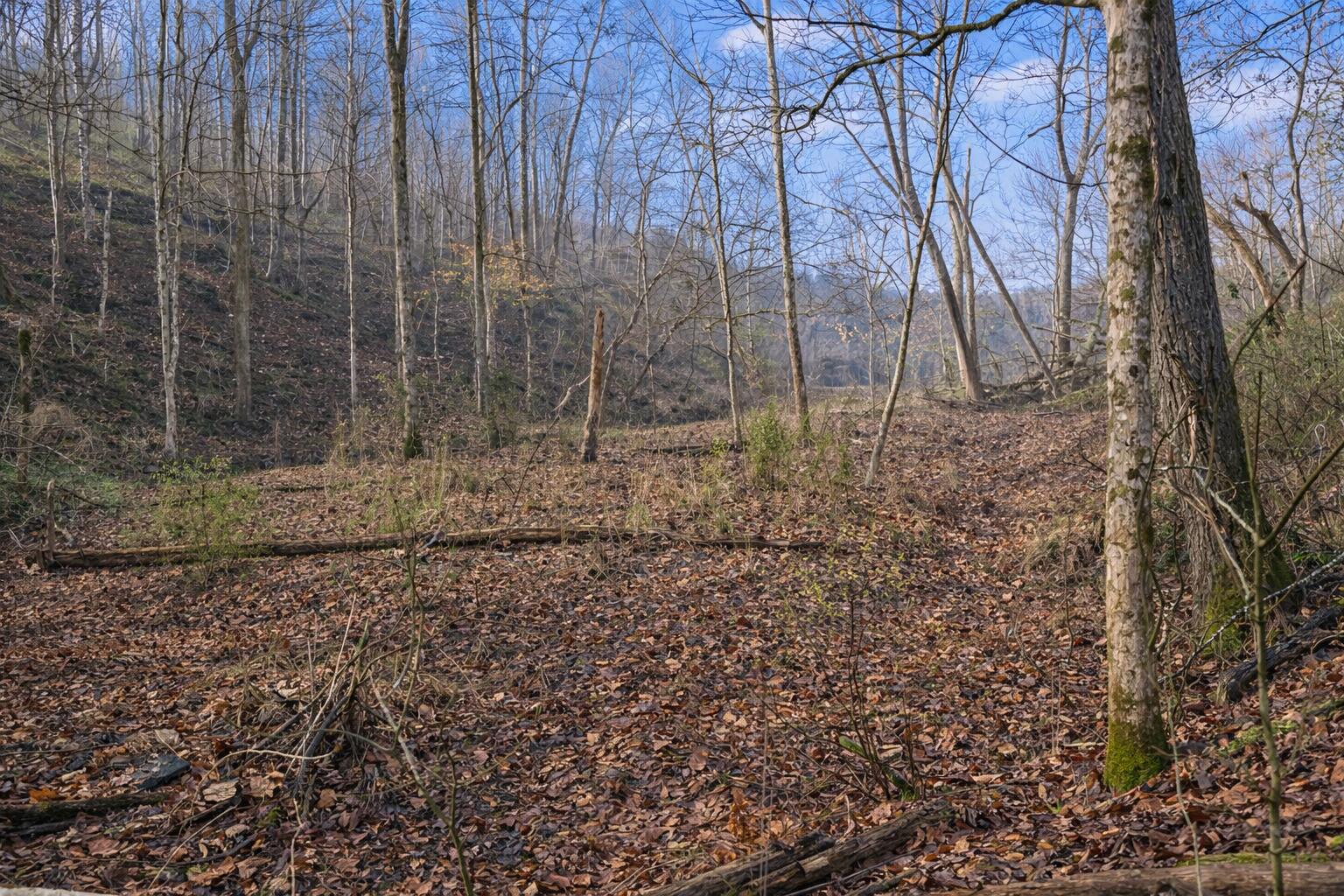 Lot 1 Lower Turkey Creek Road