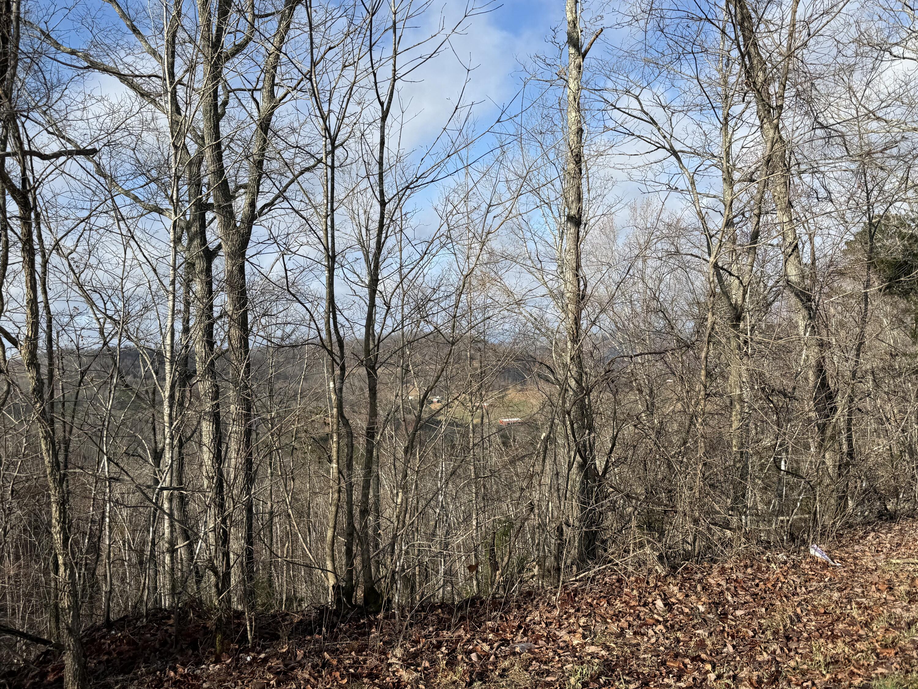 Lot 1 Lower Turkey Creek Road