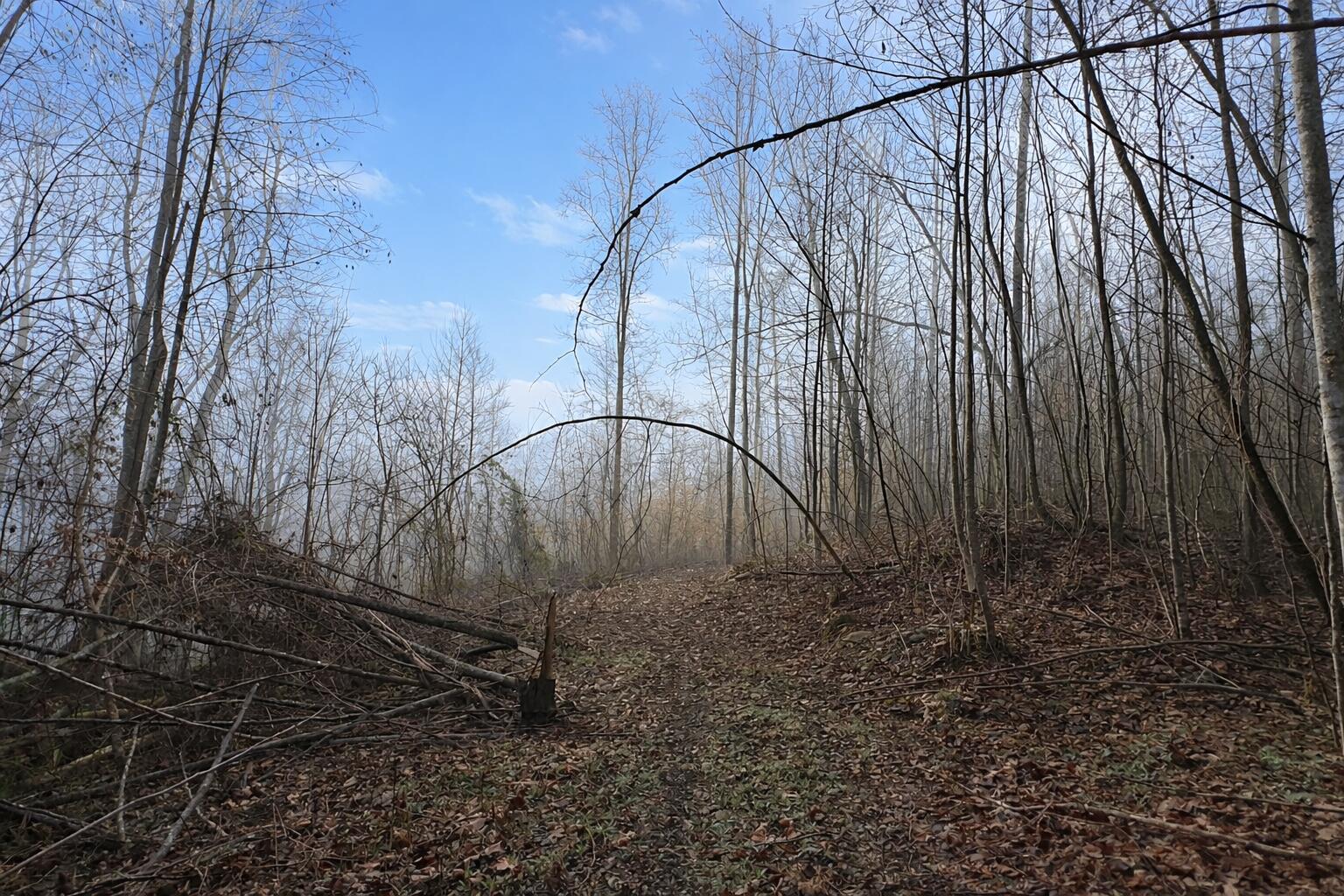 Lot 1 Lower Turkey Creek Road