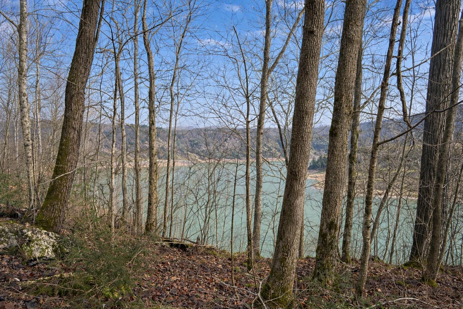 Lot 1 Lower Turkey Creek Road
