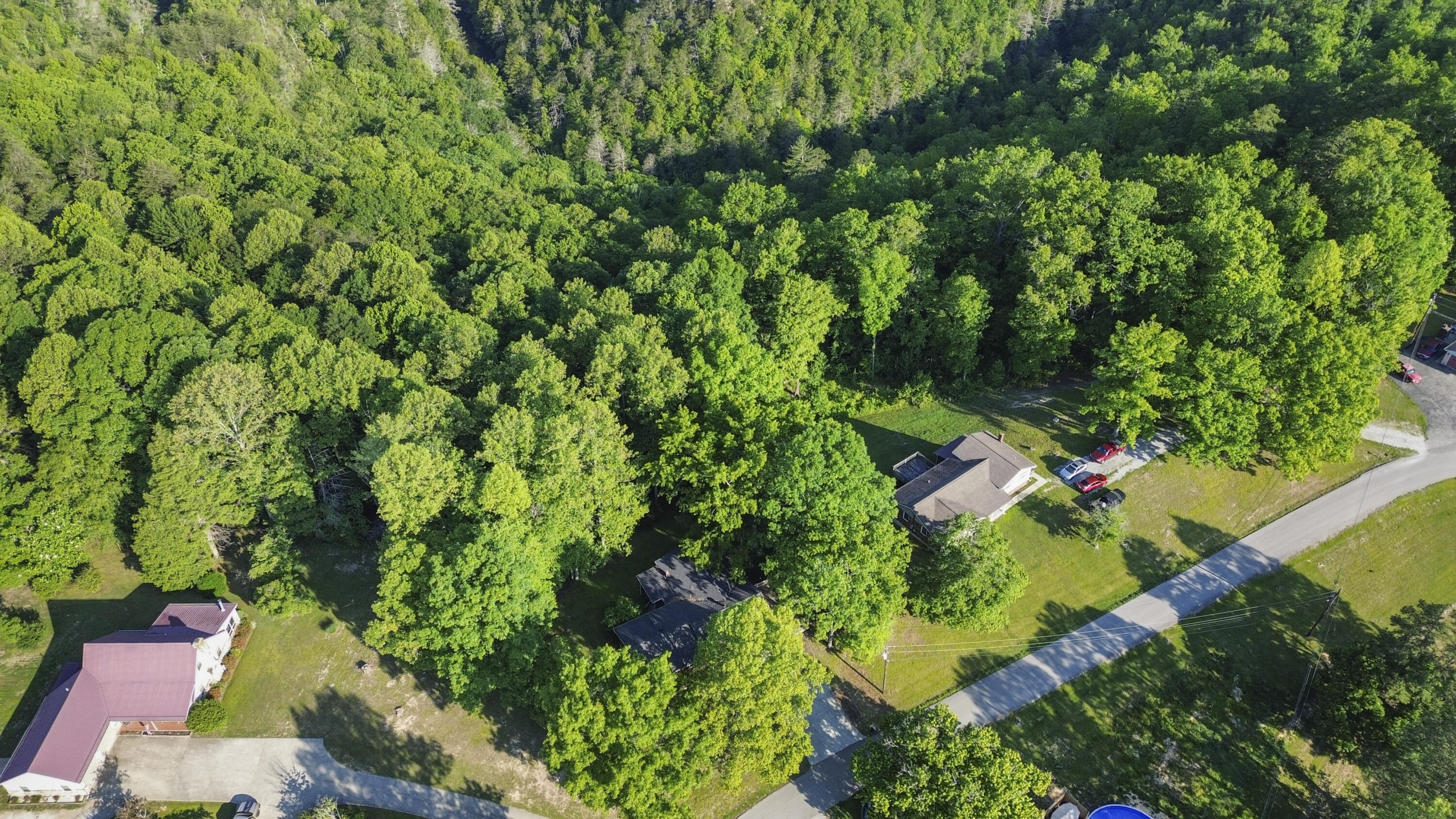 648 Murphy Ridge Road