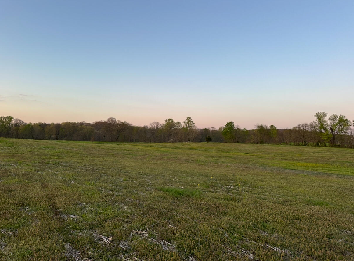 Tract 4 Pleasant Point Road