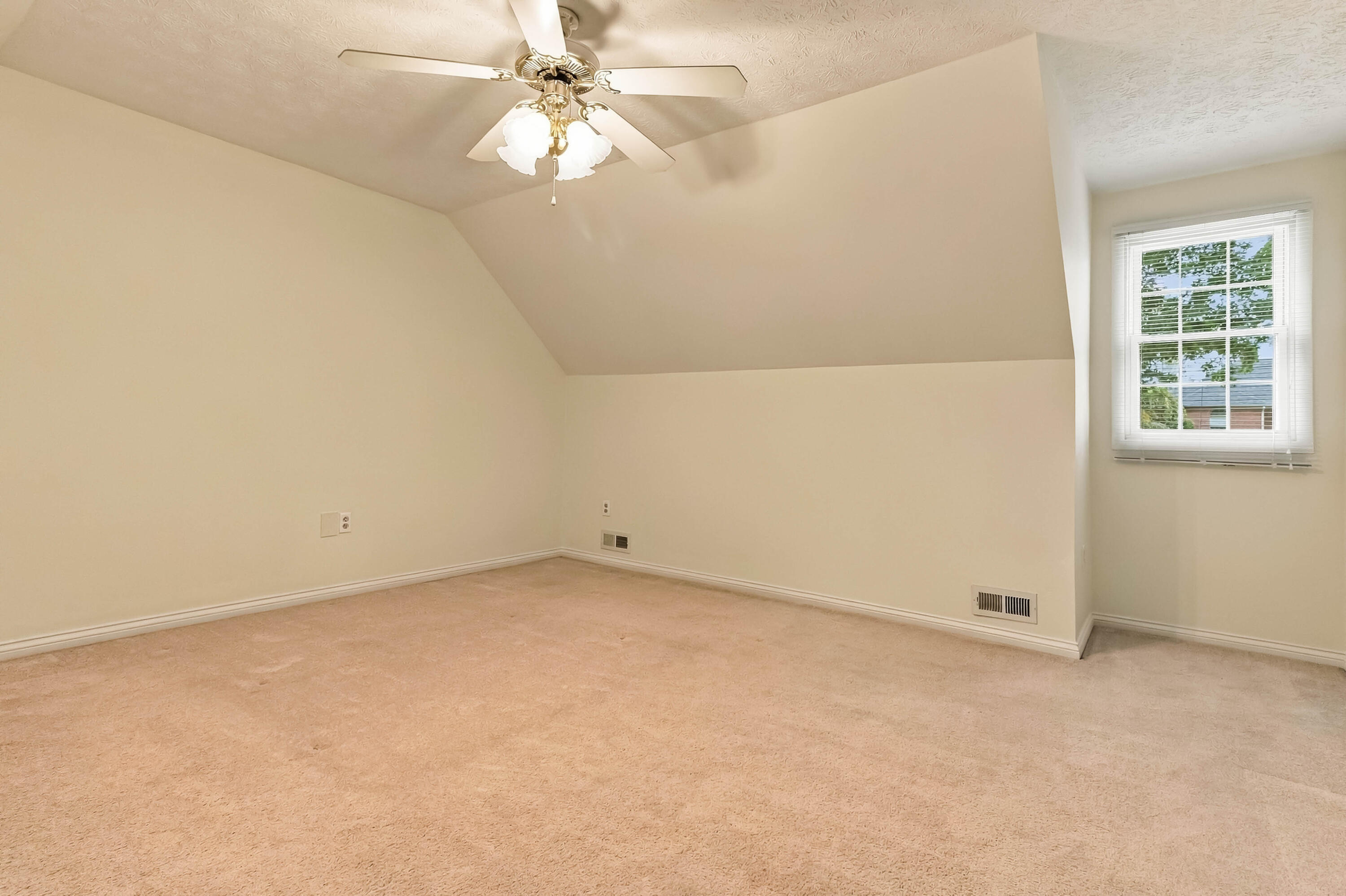 258 Earl Neeley Road
