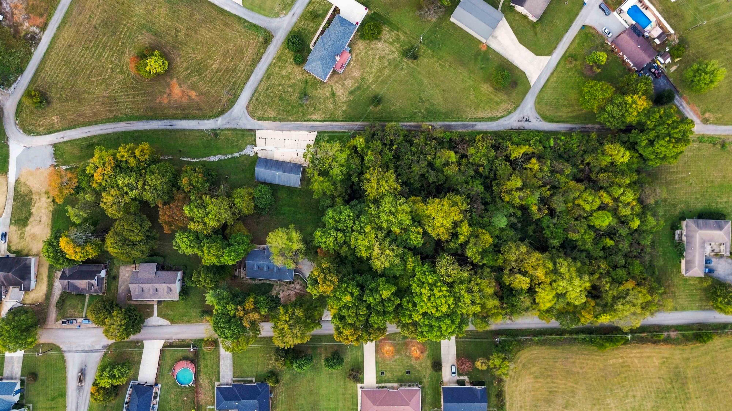 258 Earl Neeley Road