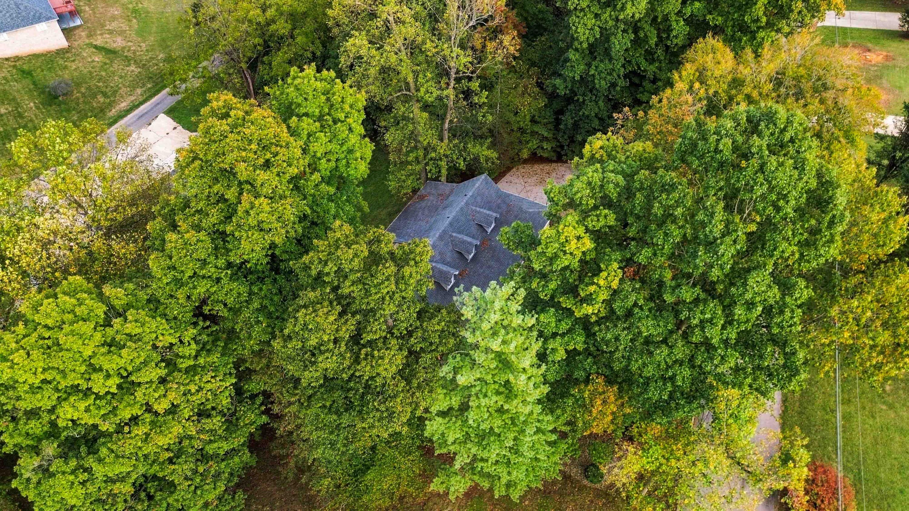 258 Earl Neeley Road