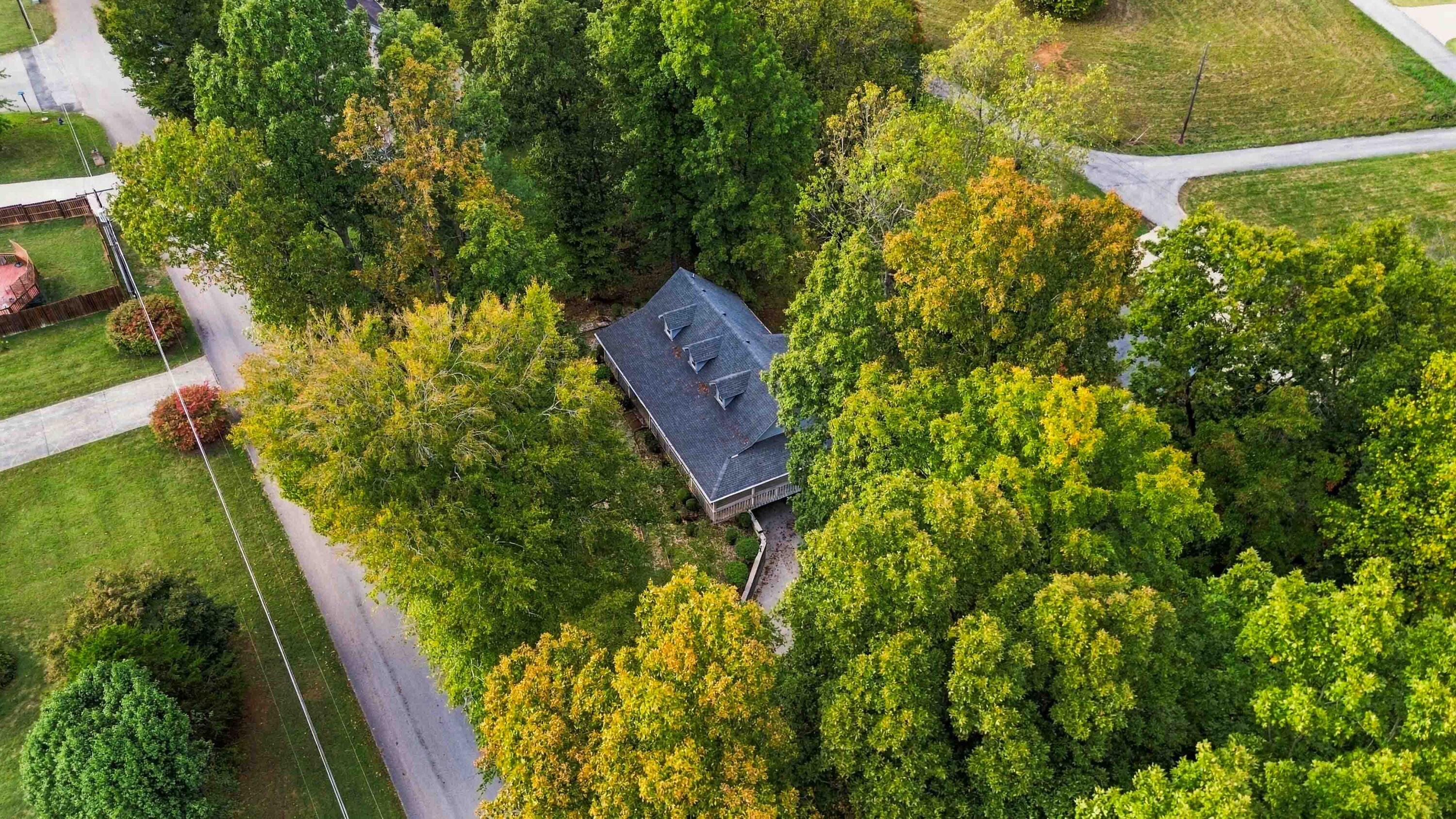 258 Earl Neeley Road
