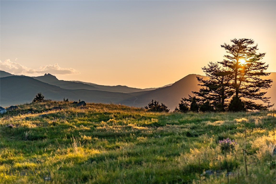 TBD Pine Creek (Luccock Park Rd)